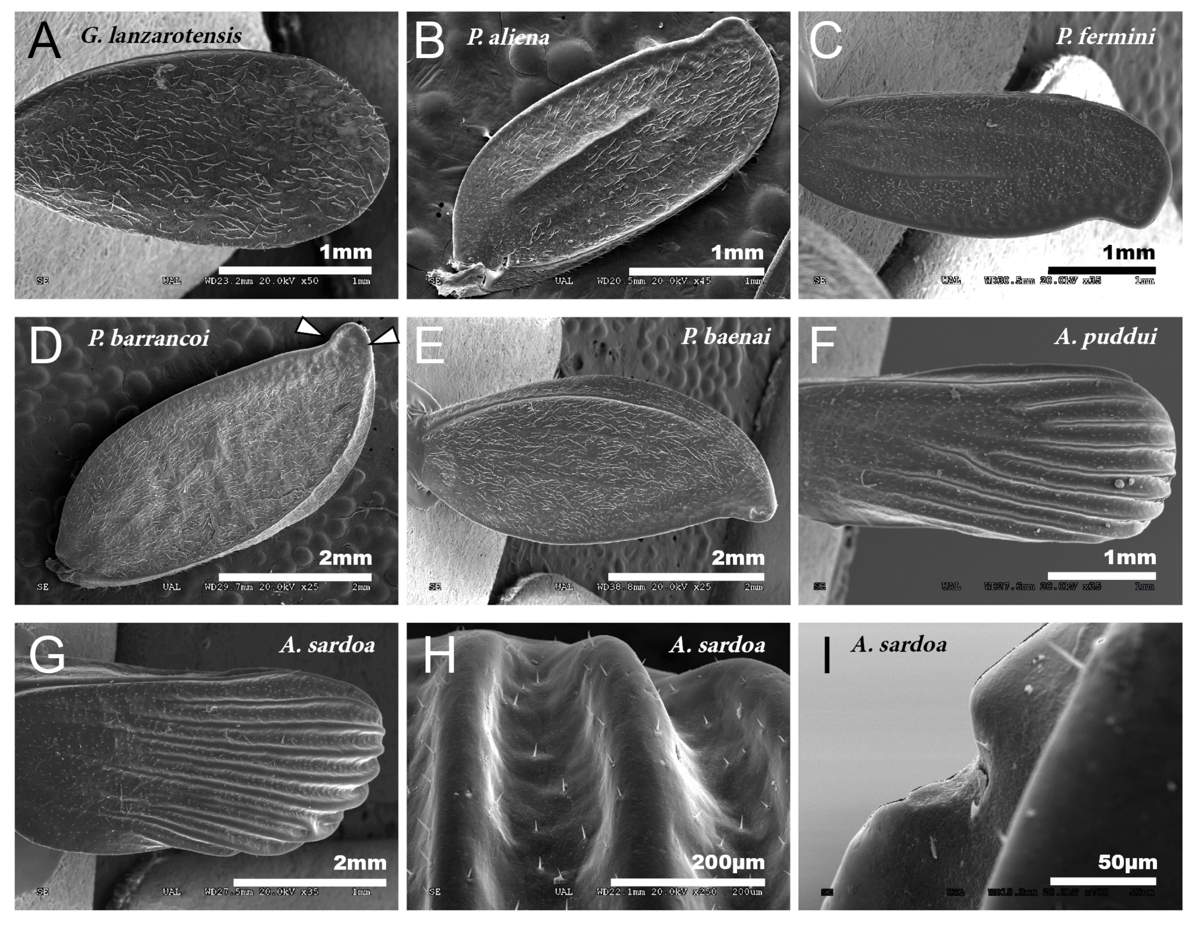 Insects 12 00708 g001 Insects 12 00708 g001