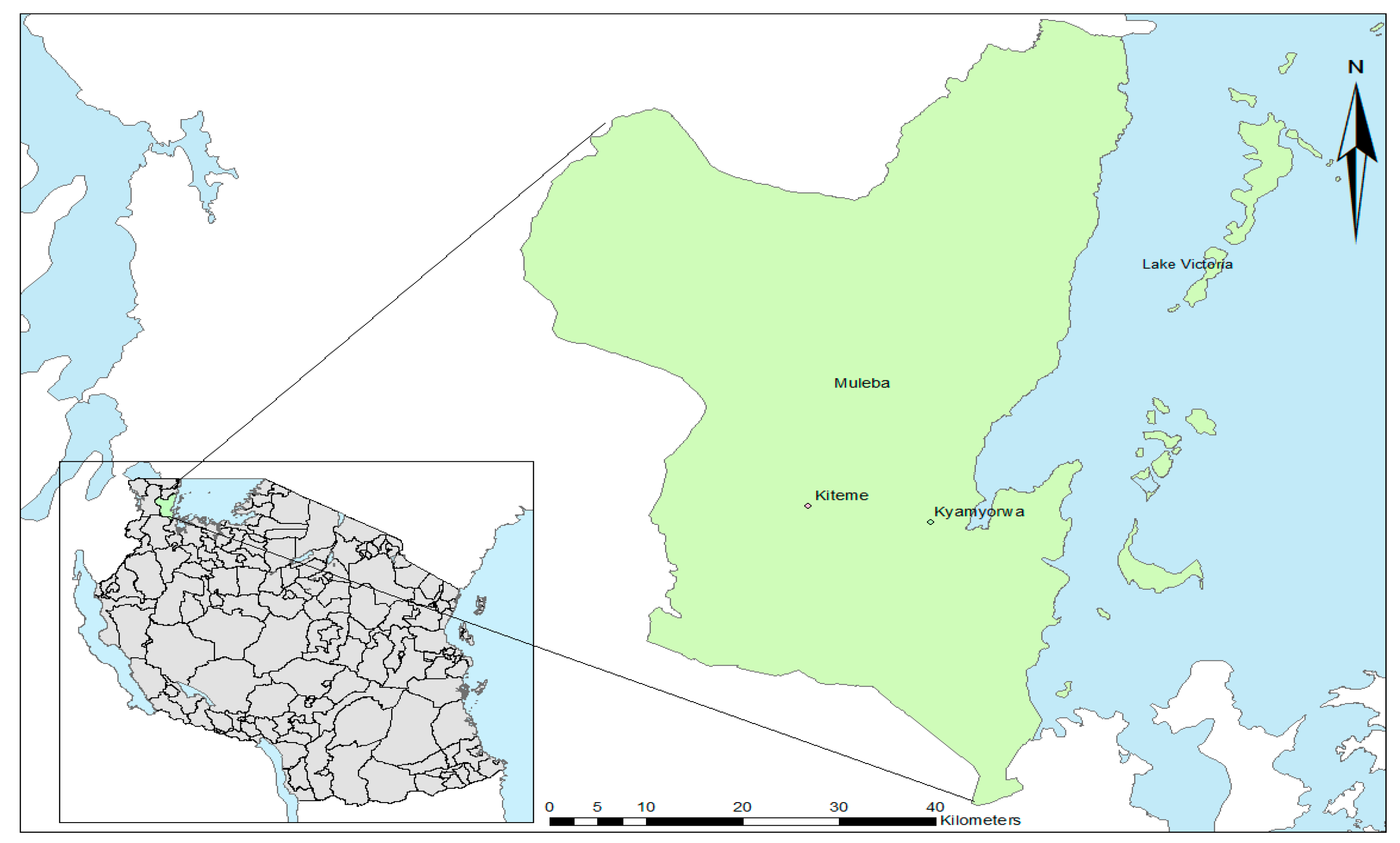 Insects 12 00710 g001 Insects 12 00710 g001