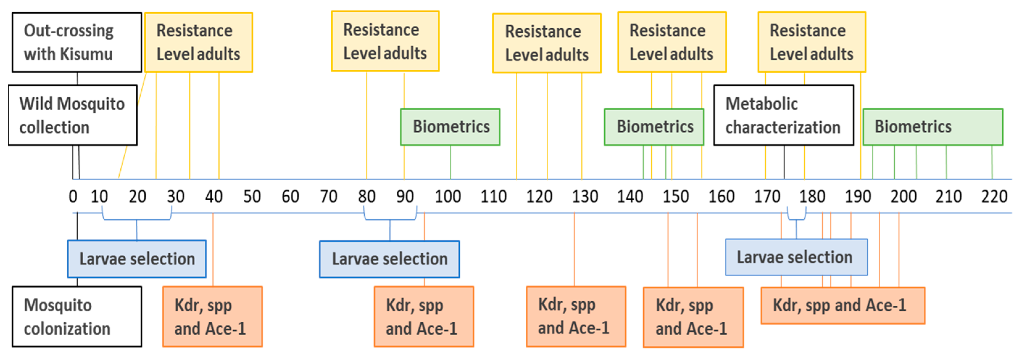 Insects 12 00710 g002 Insects 12 00710 g002