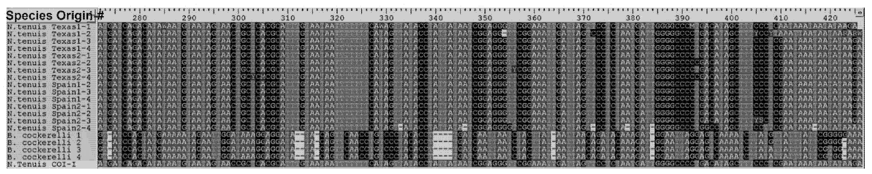 Insects 12 00715 g002 550