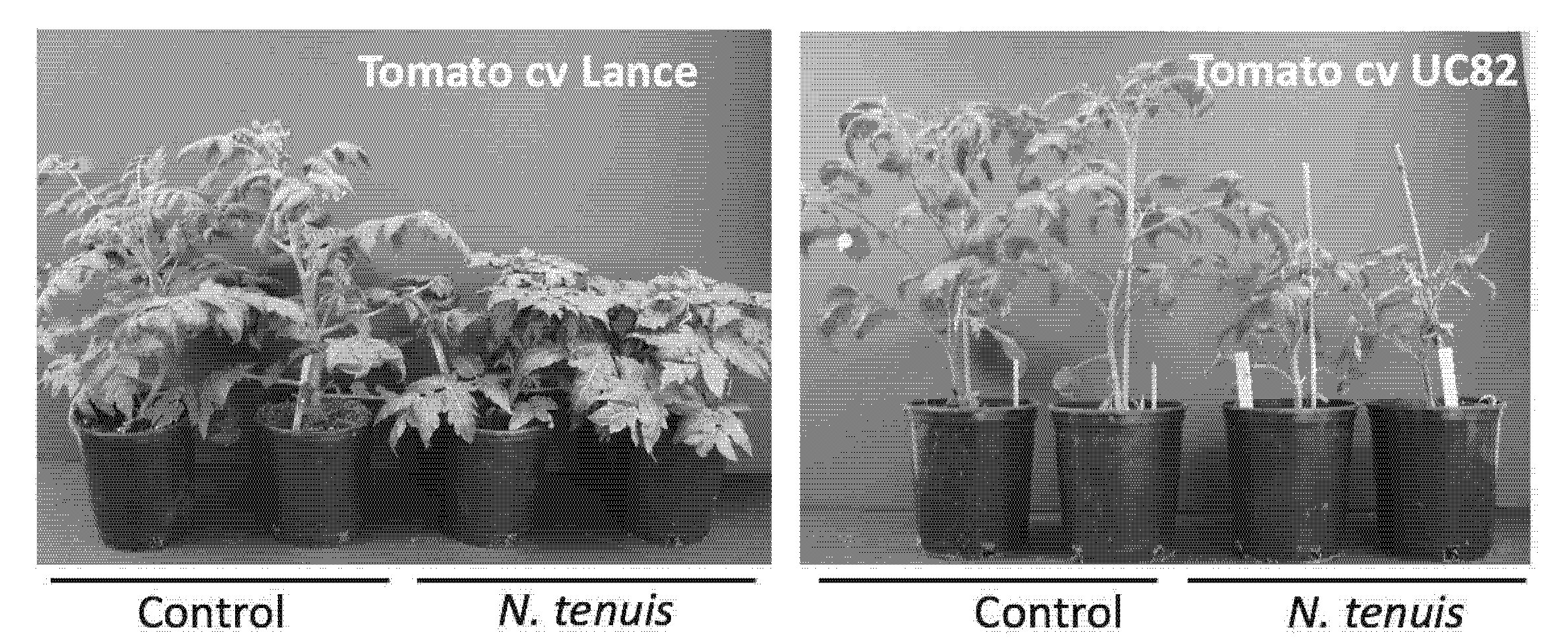 Insects 12 00715 g008 550