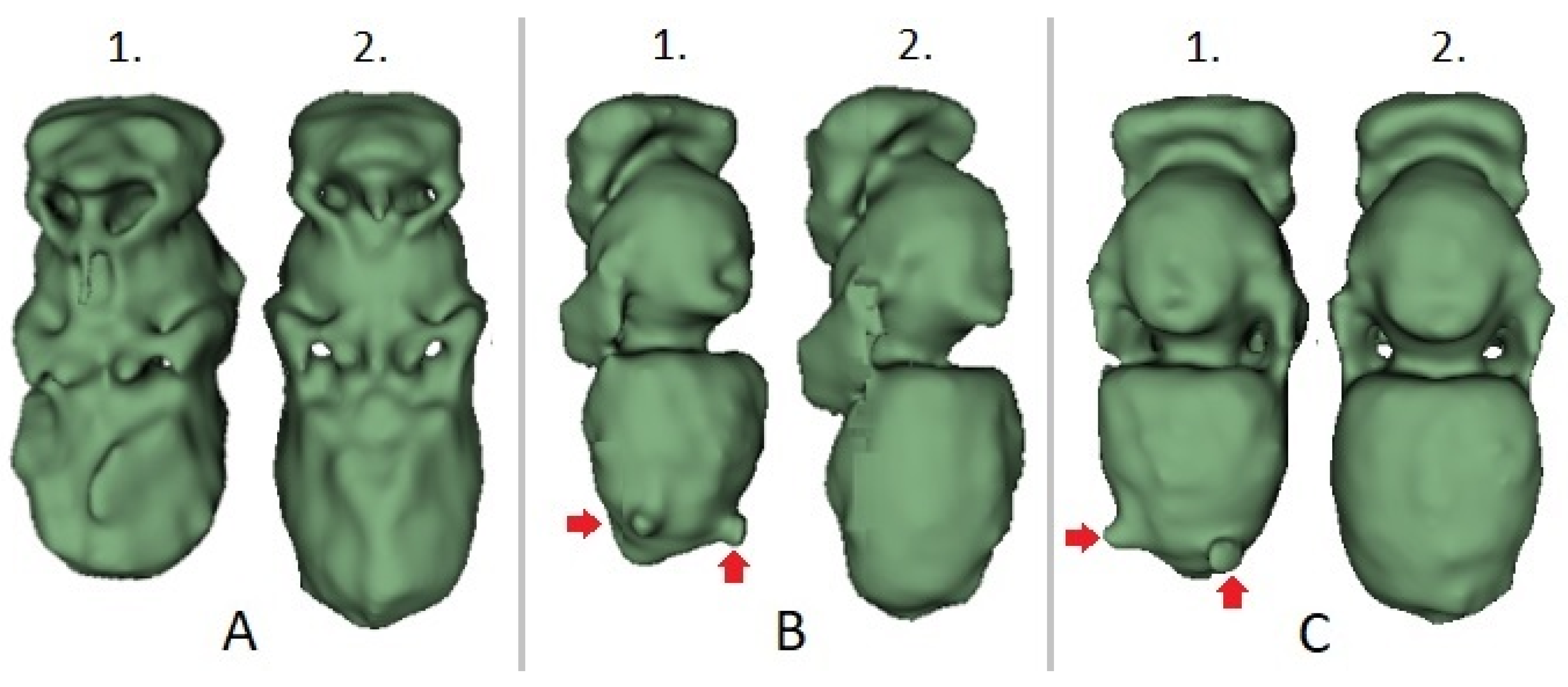 Insects 12 00717 g003 550