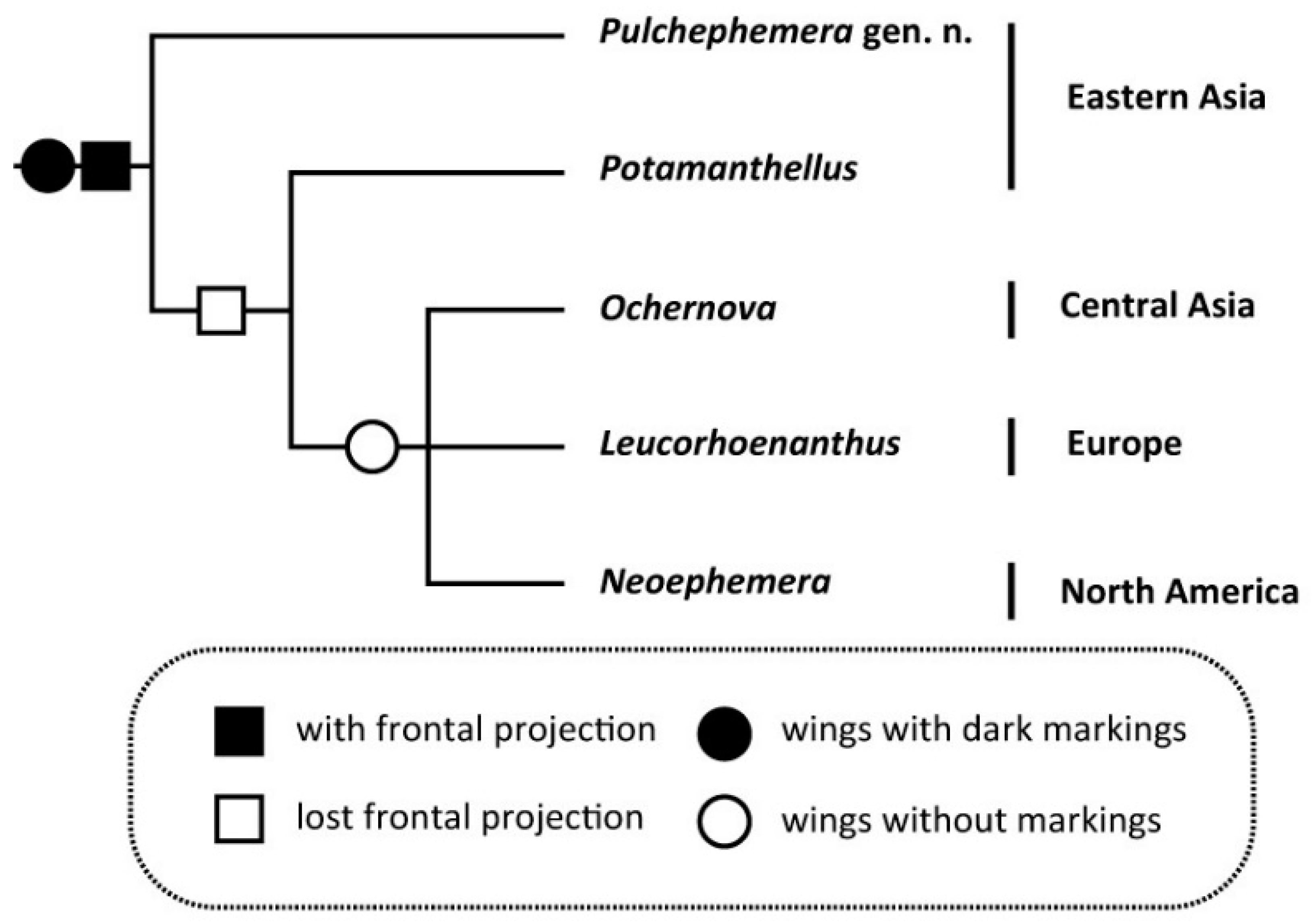 Insects 12 00723 g014