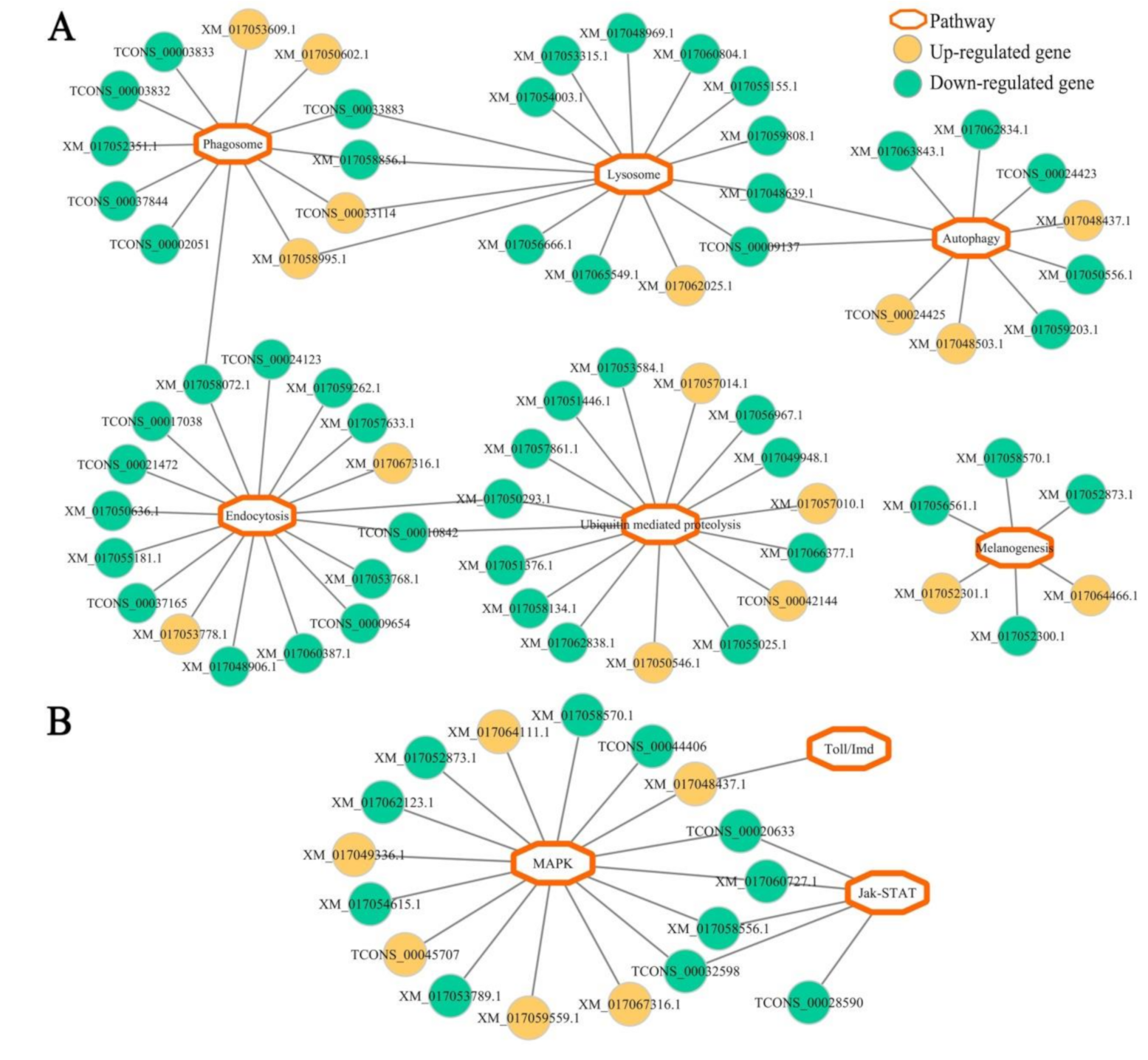 Insects 12 00728 g006