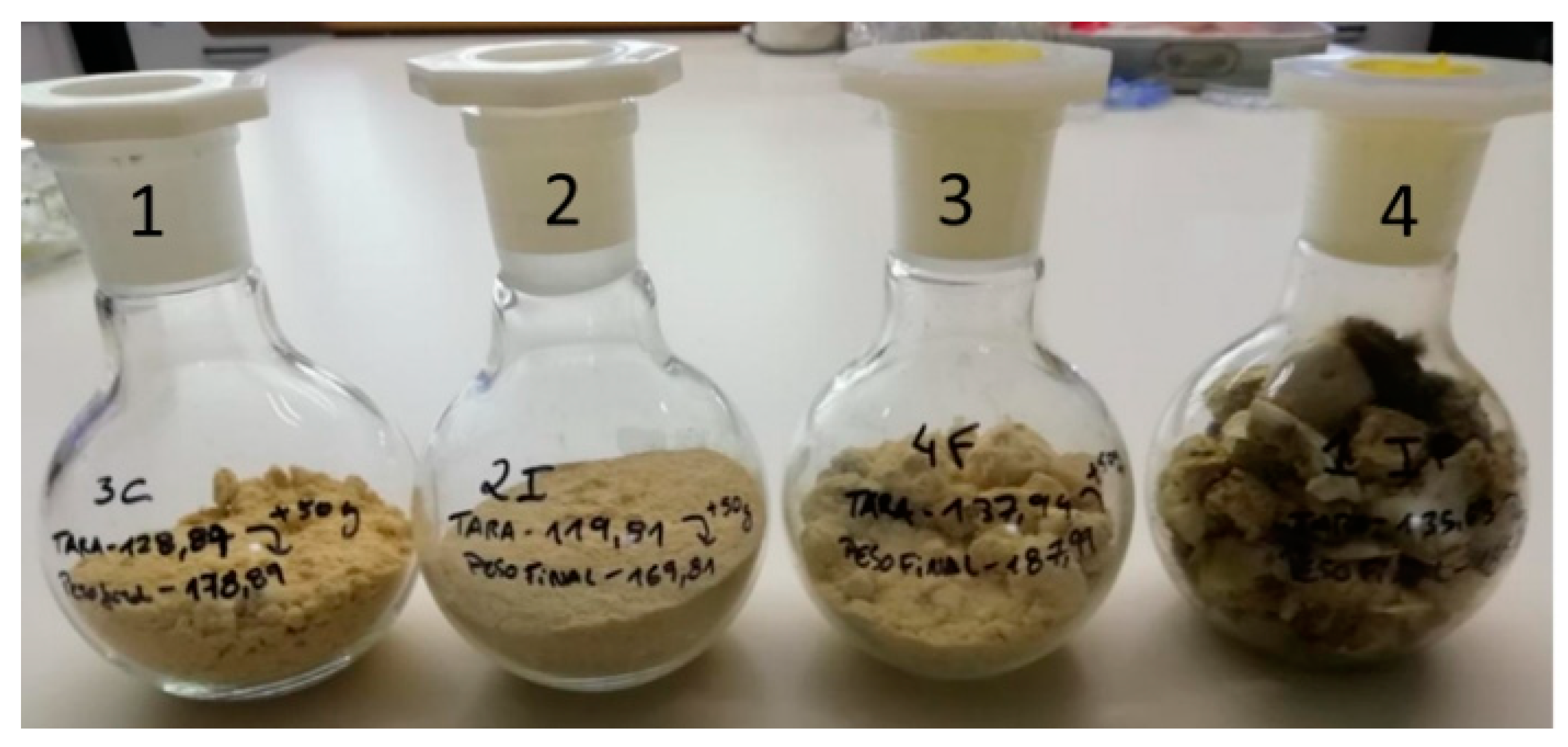 Insects 12 00730 g001