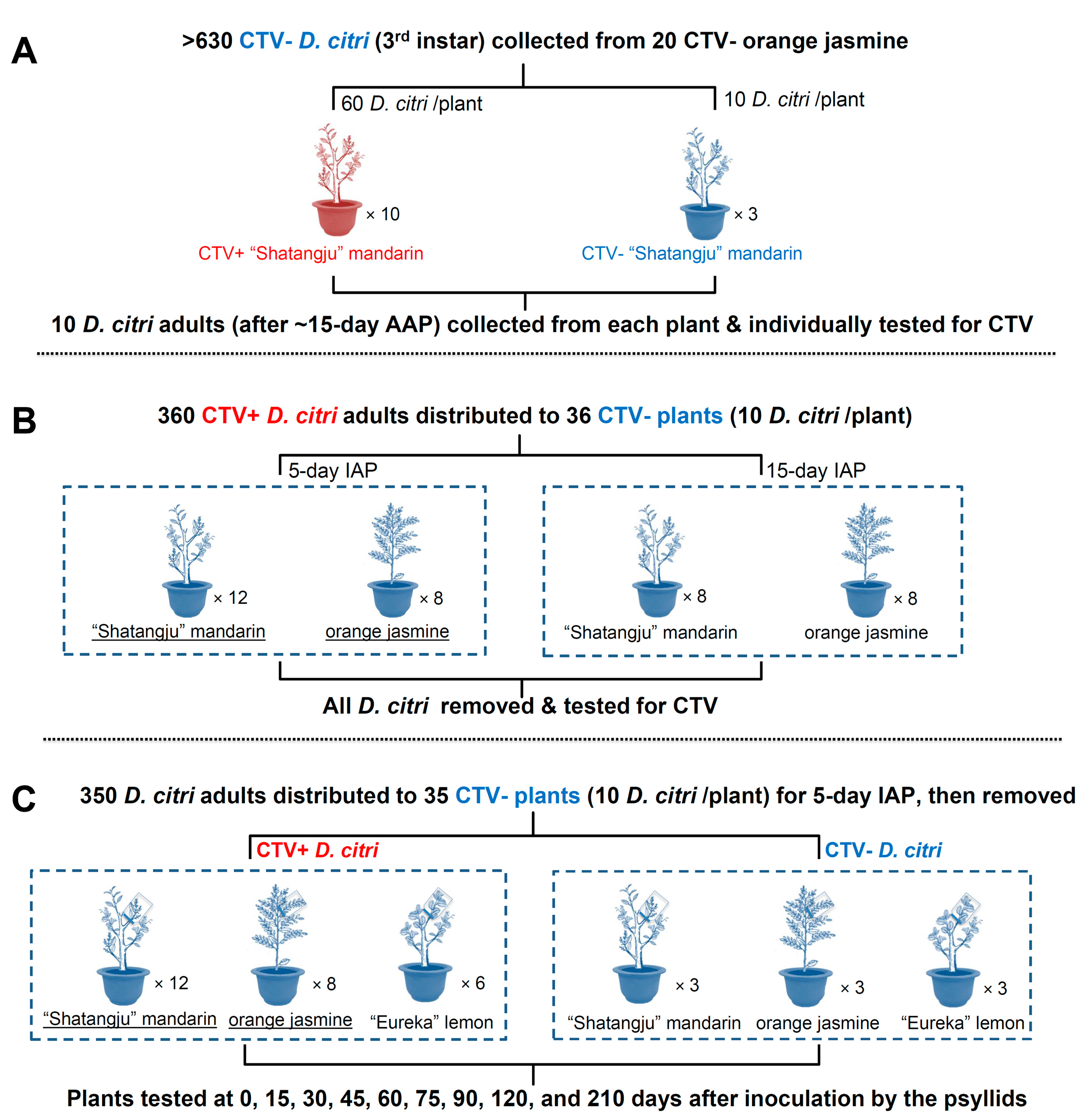 Insects 12 00735 g001