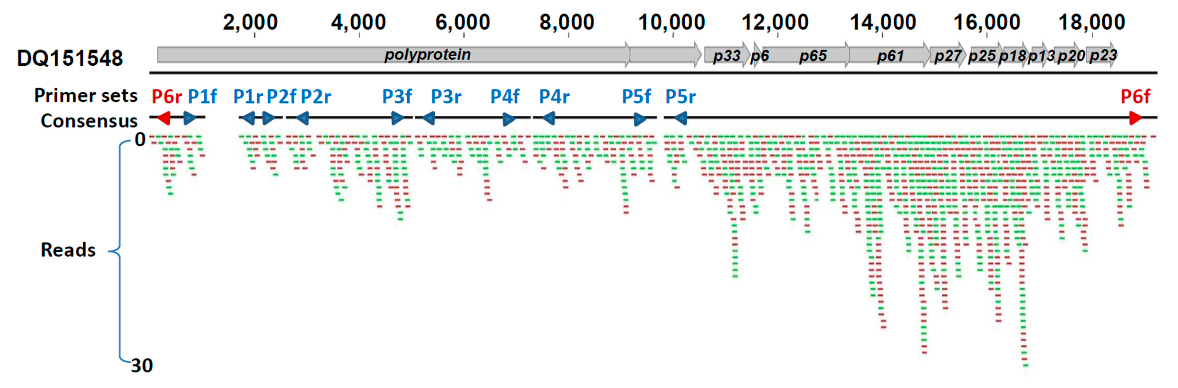 Insects 12 00735 g002