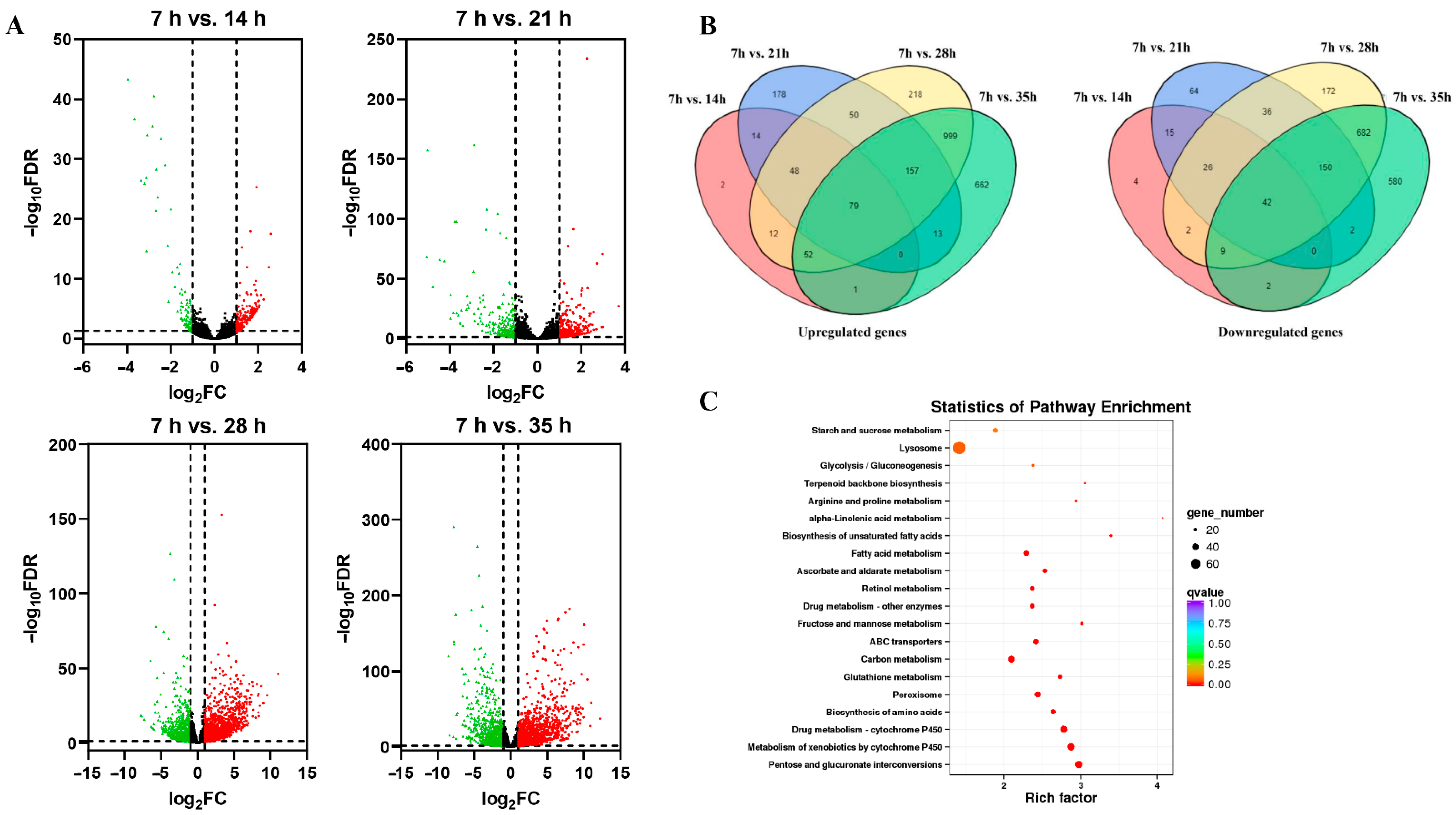 Insects 12 00736 g001