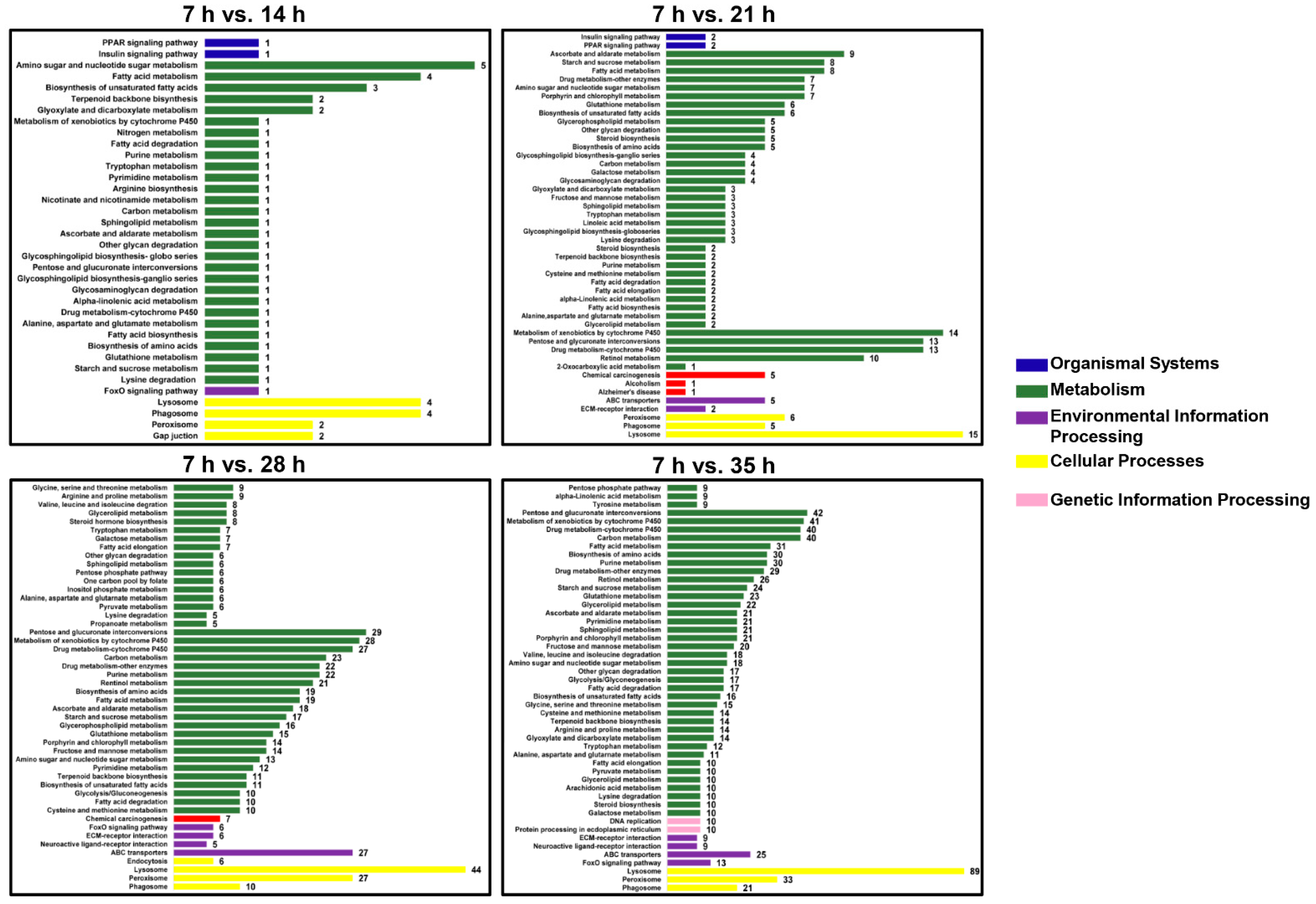 Insects 12 00736 g002