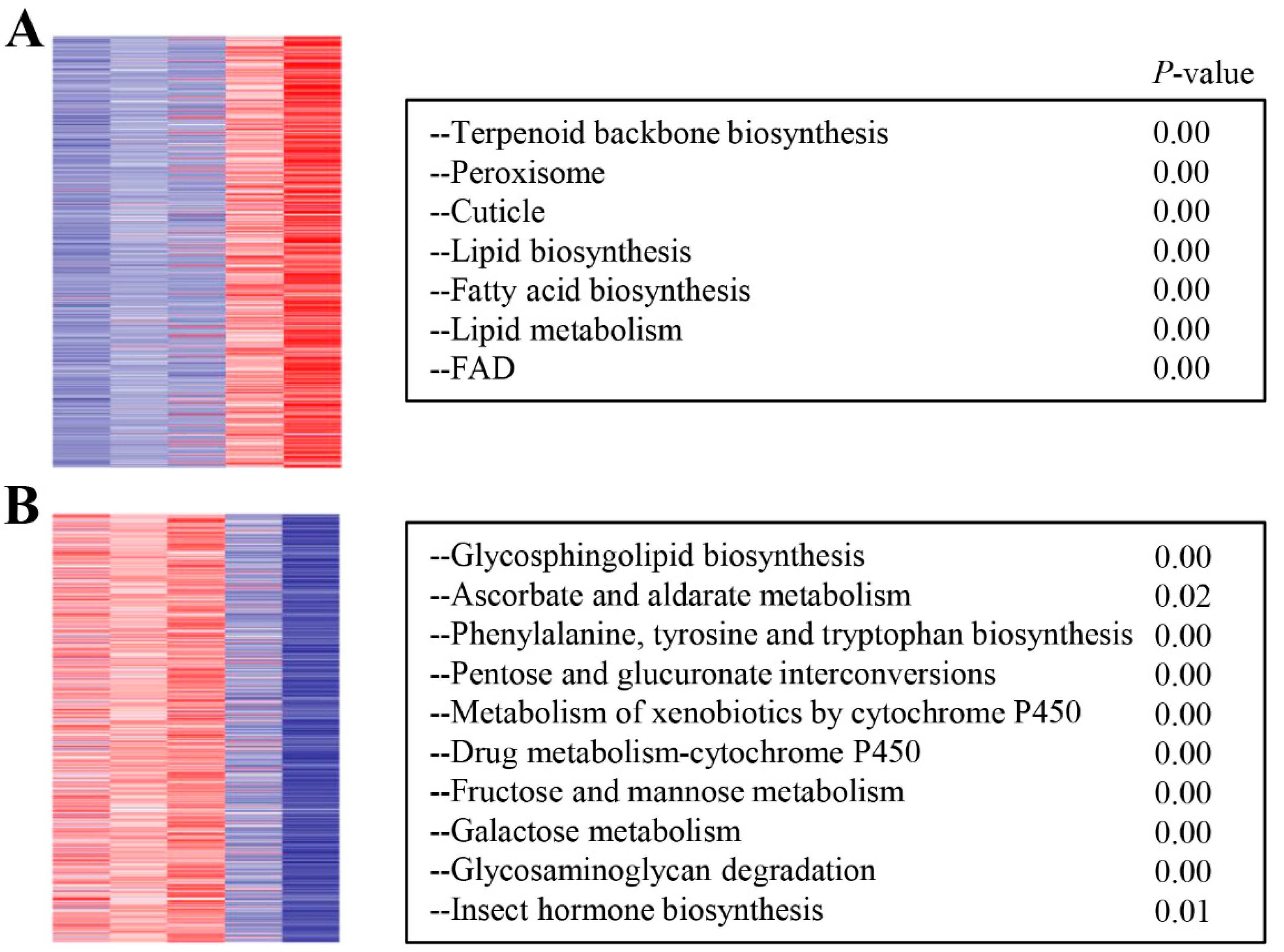 Insects 12 00736 g004