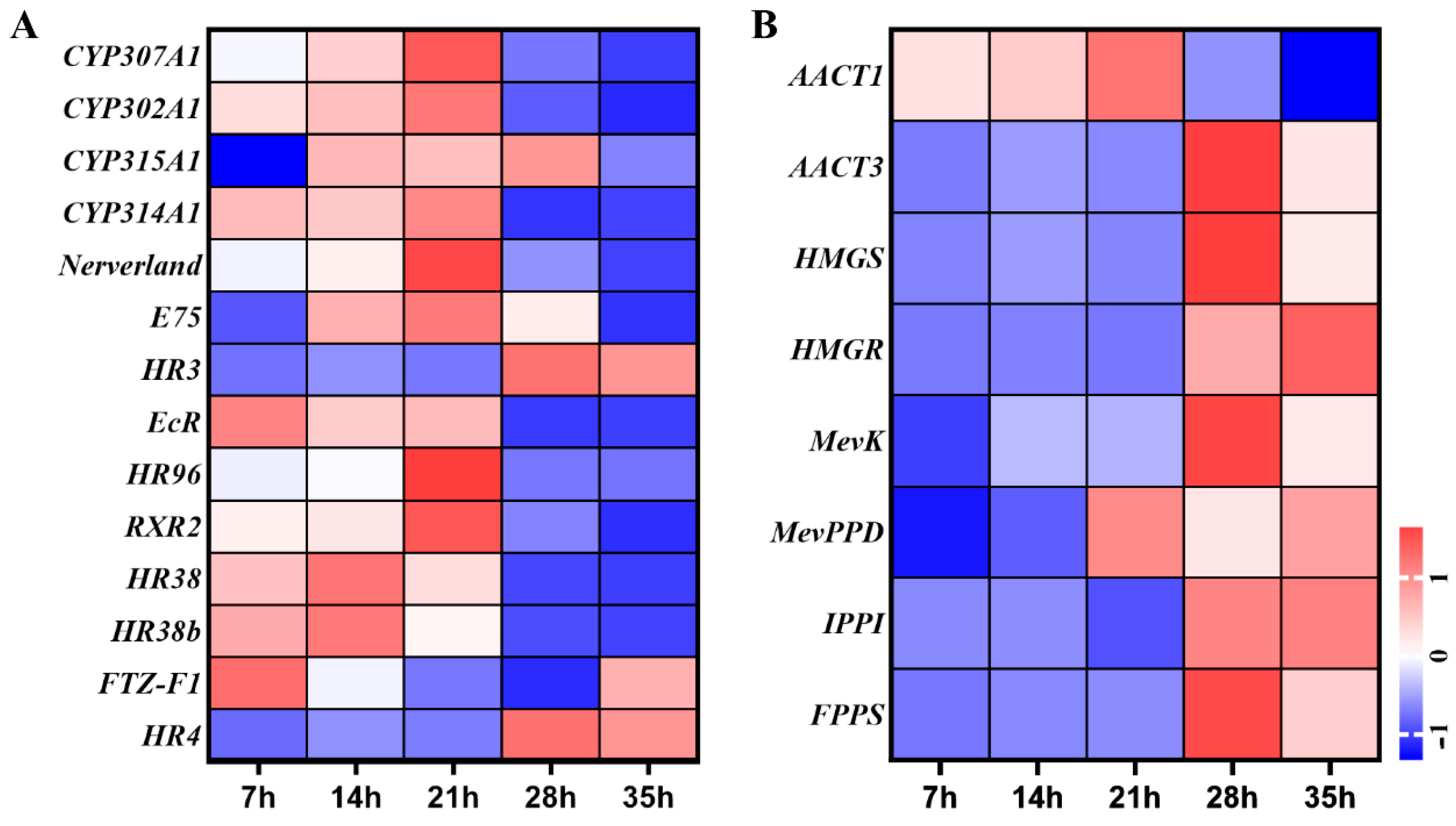 Insects 12 00736 g005