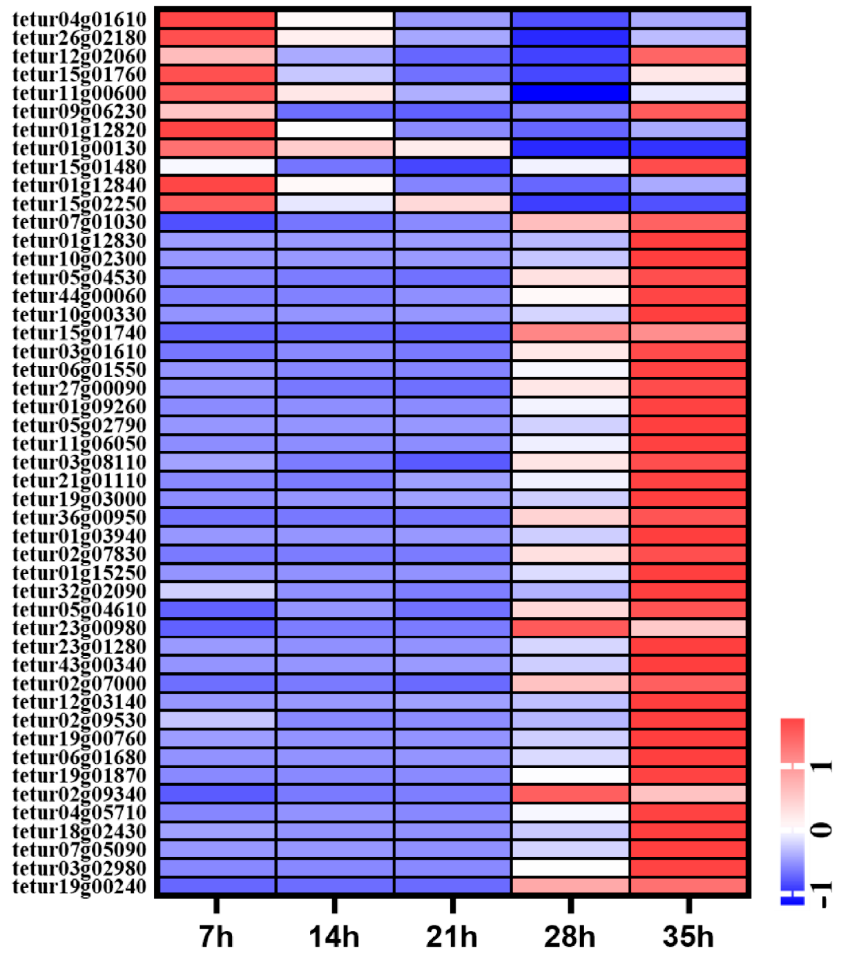 Insects 12 00736 g007