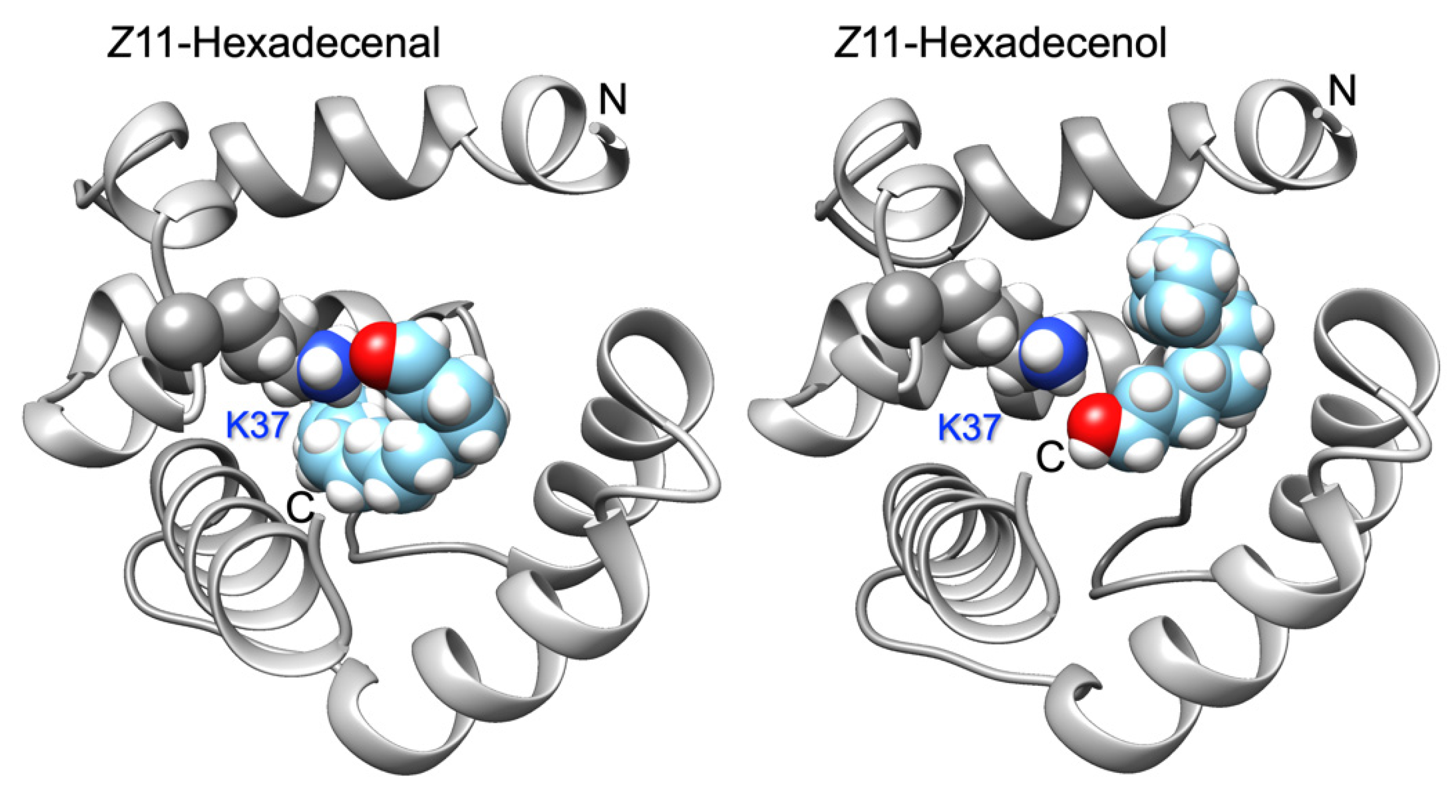 Insects 12 00741 g003