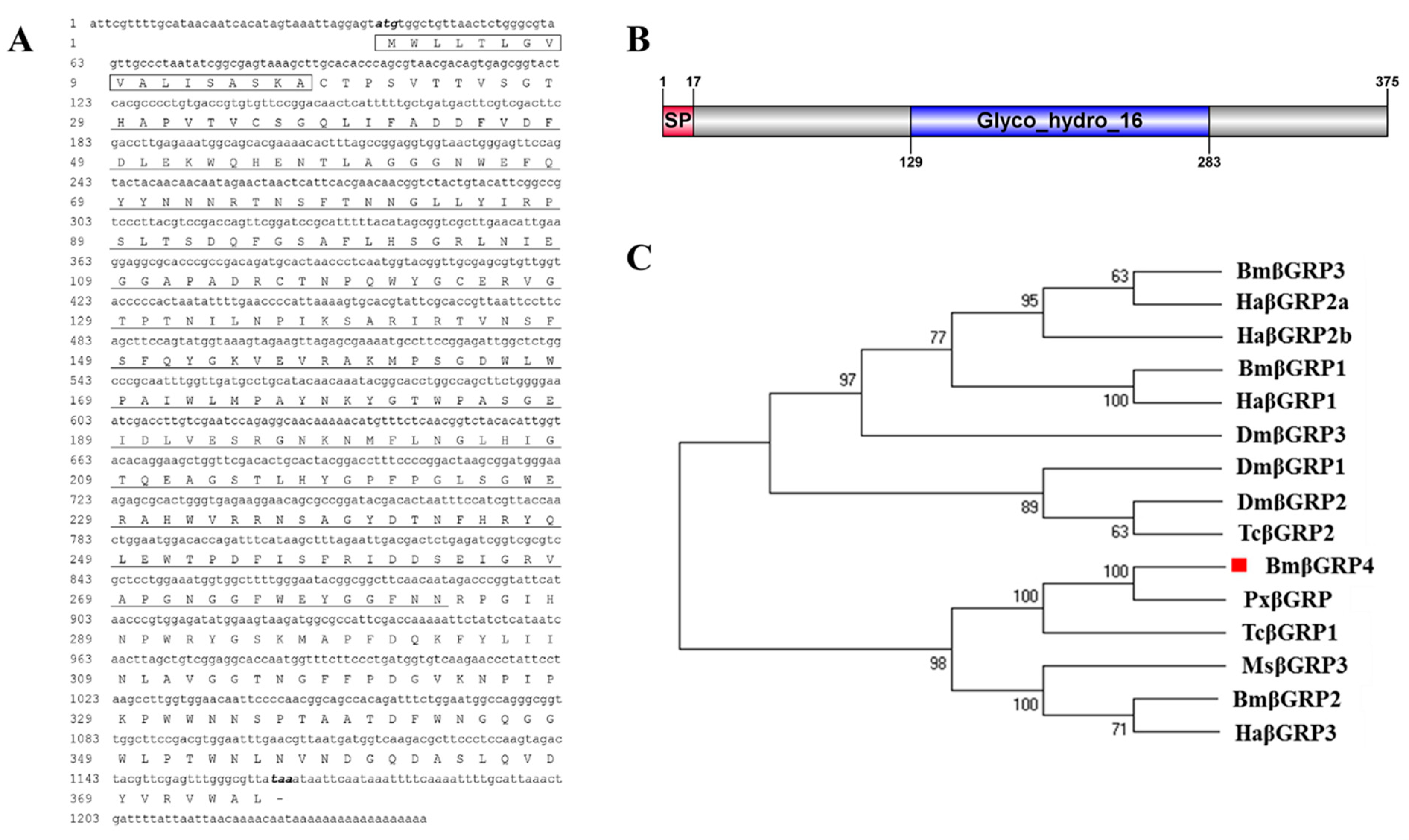 Insects 12 00743 g001