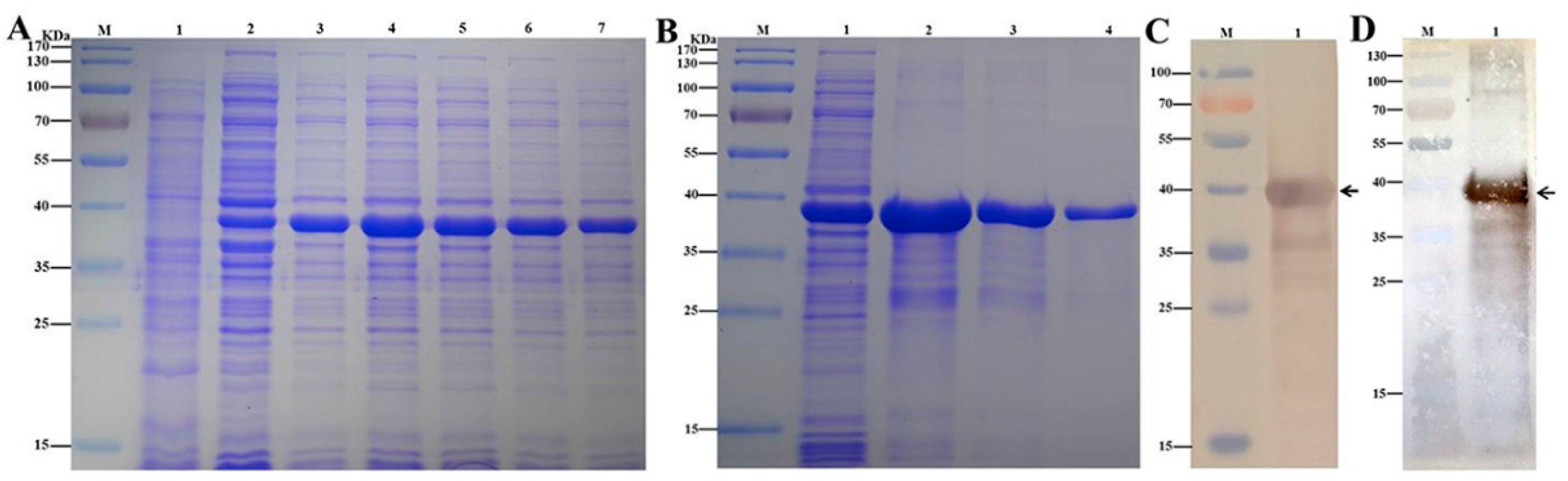 Insects 12 00743 g003