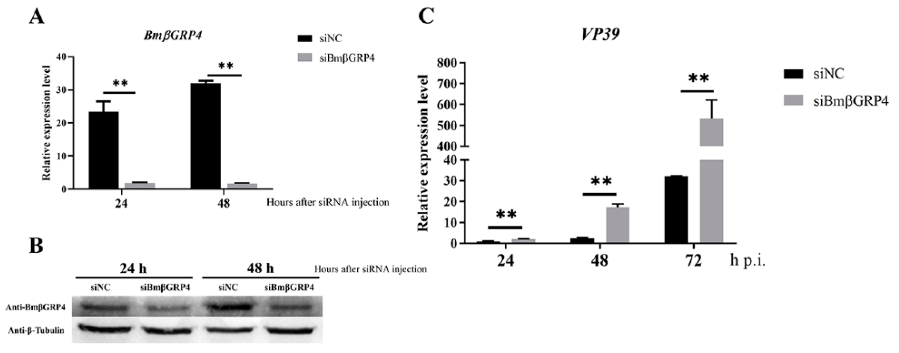 Insects 12 00743 g005