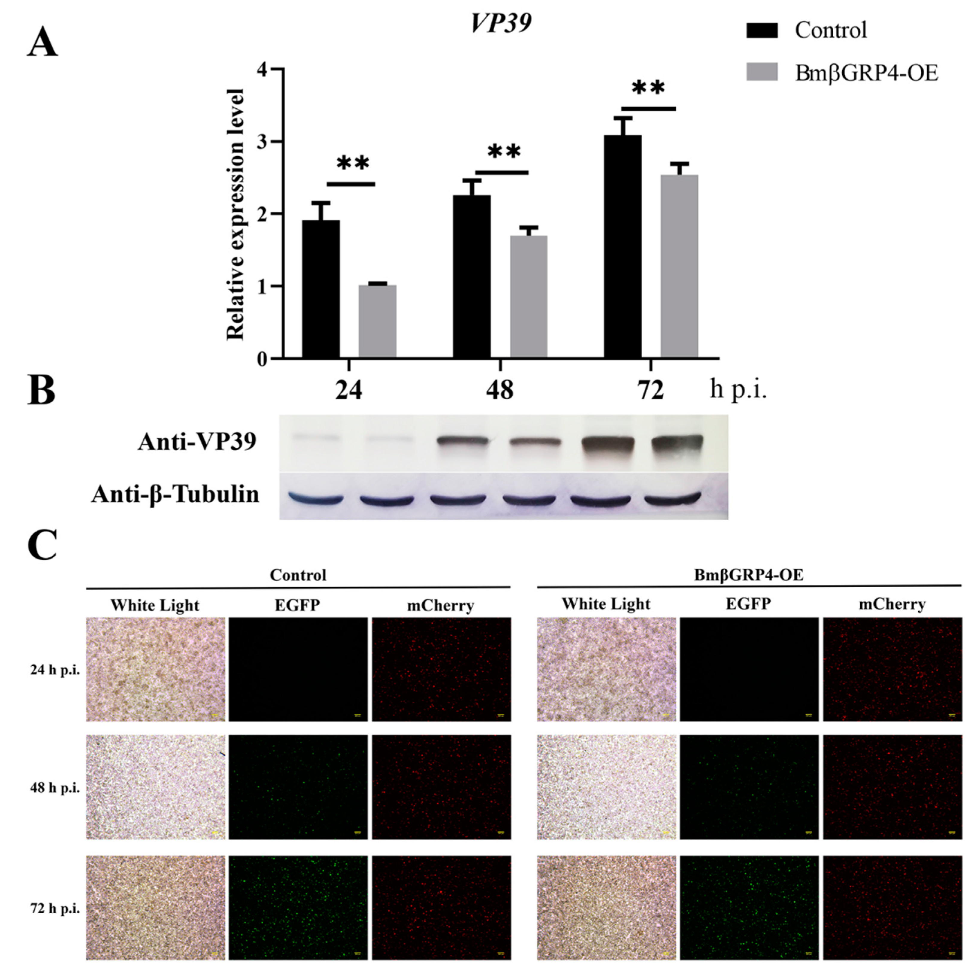 Insects 12 00743 g007