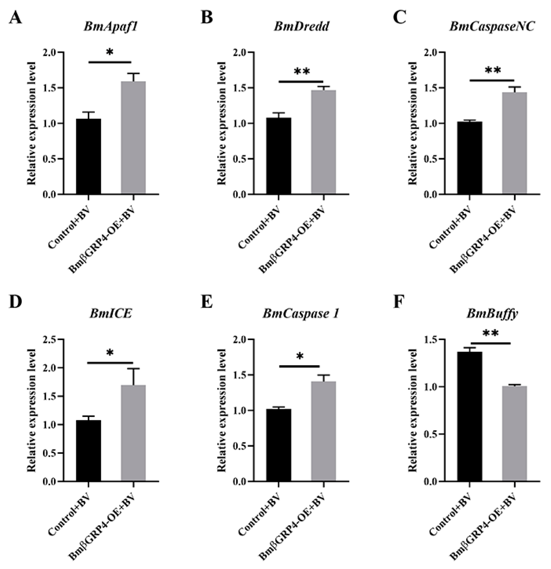 Insects 12 00743 g008