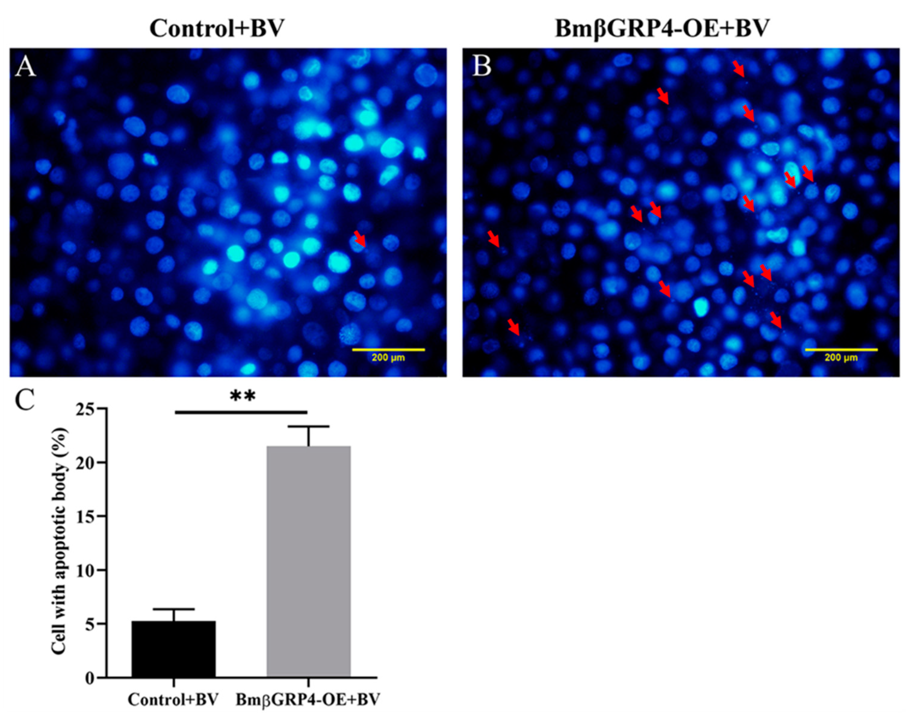Insects 12 00743 g009