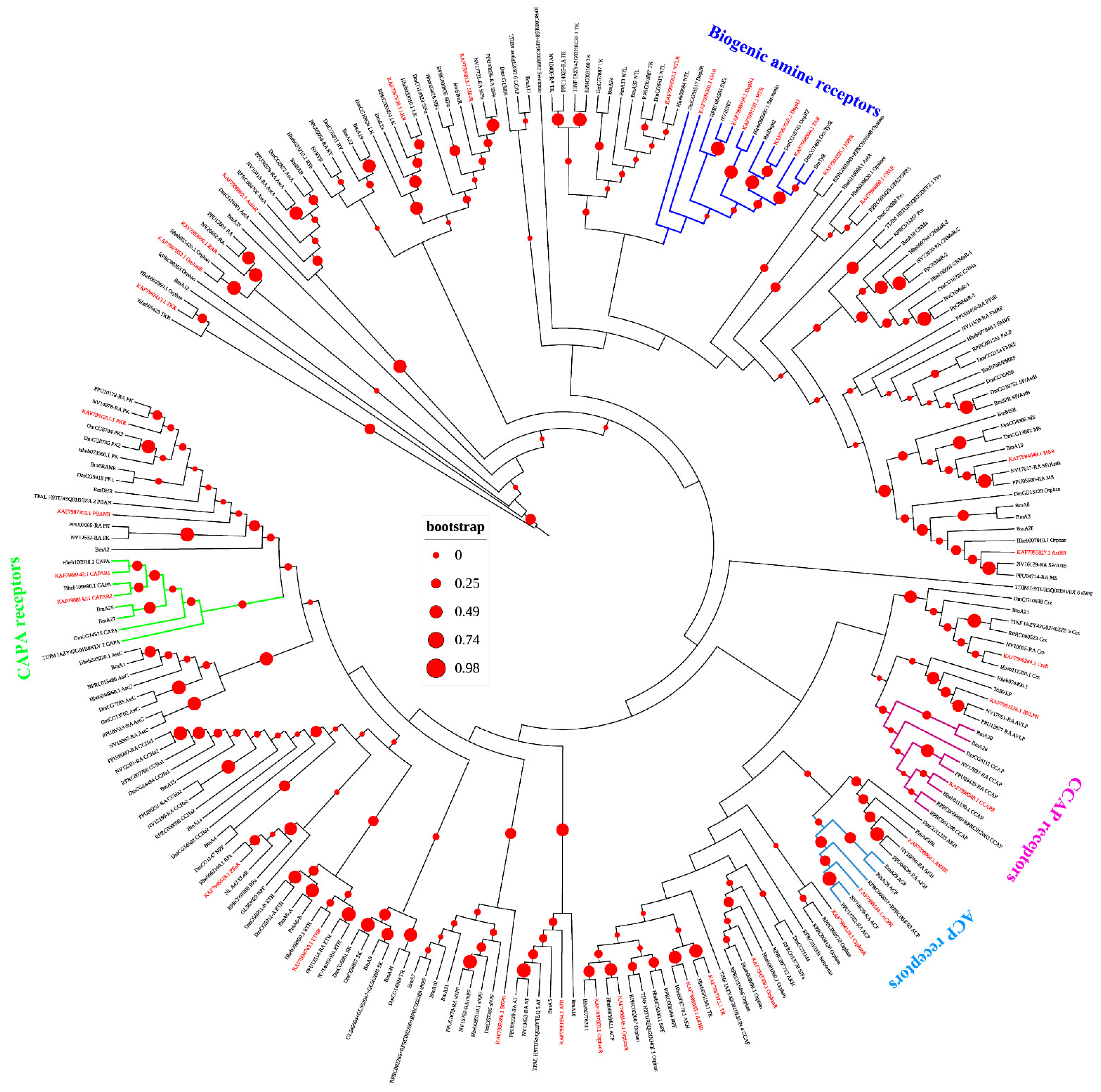Insects 12 00745 g003 Insects 12 00745 g003