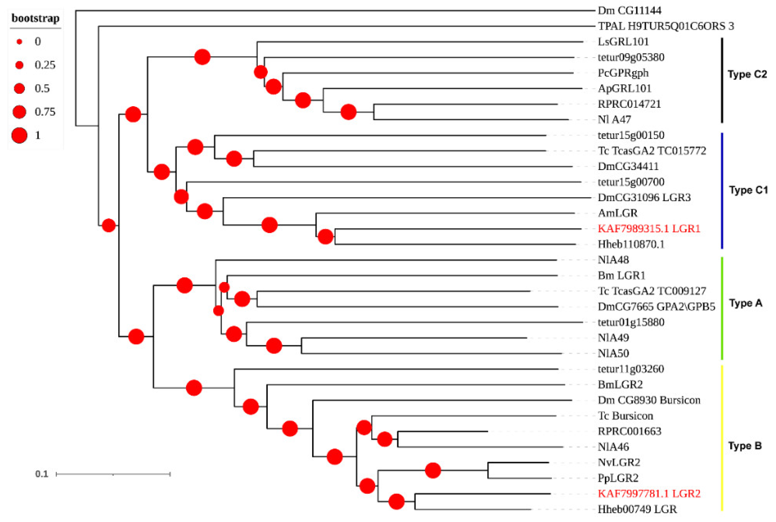 Insects 12 00745 g005 Insects 12 00745 g005