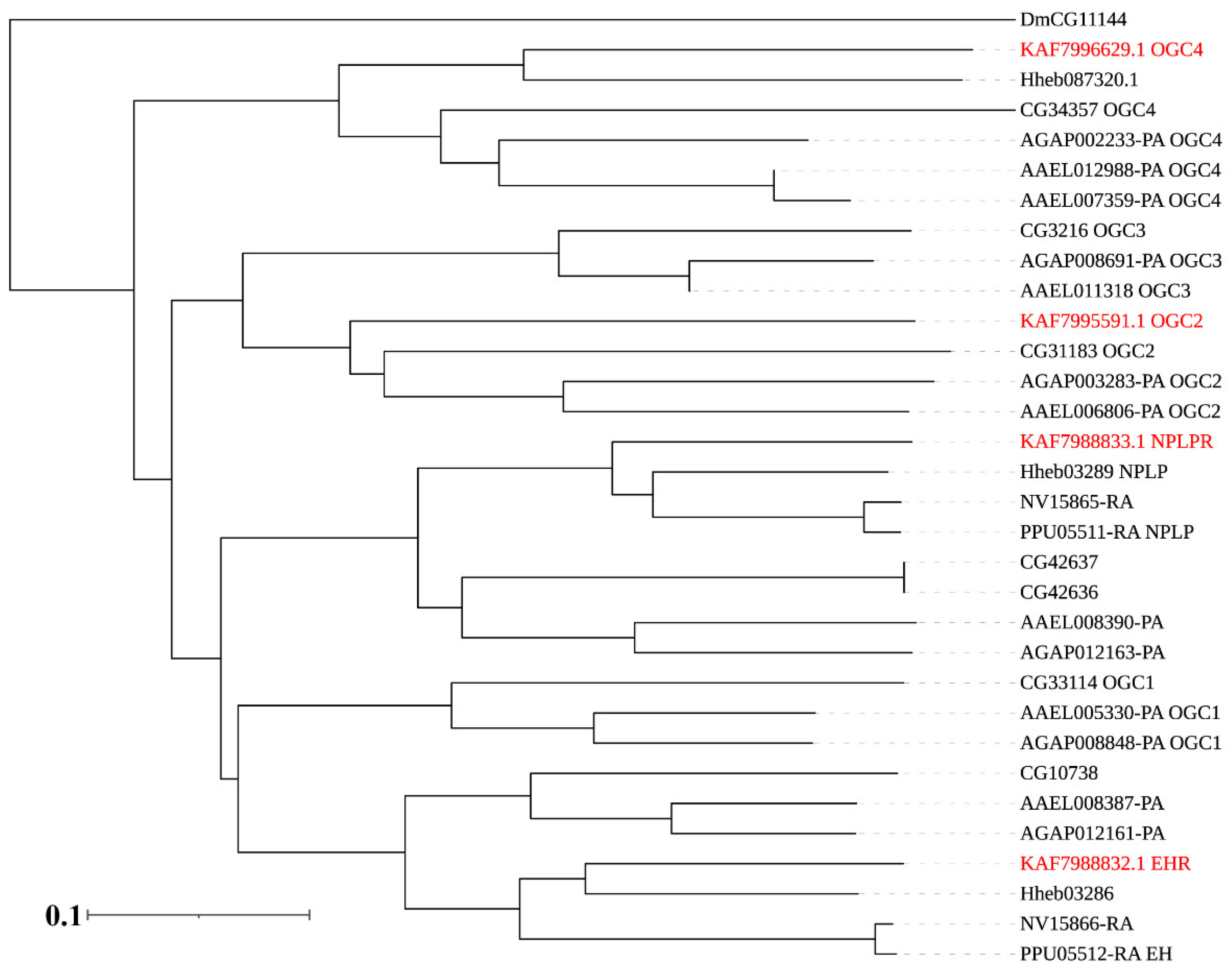 Insects 12 00745 g006 Insects 12 00745 g006