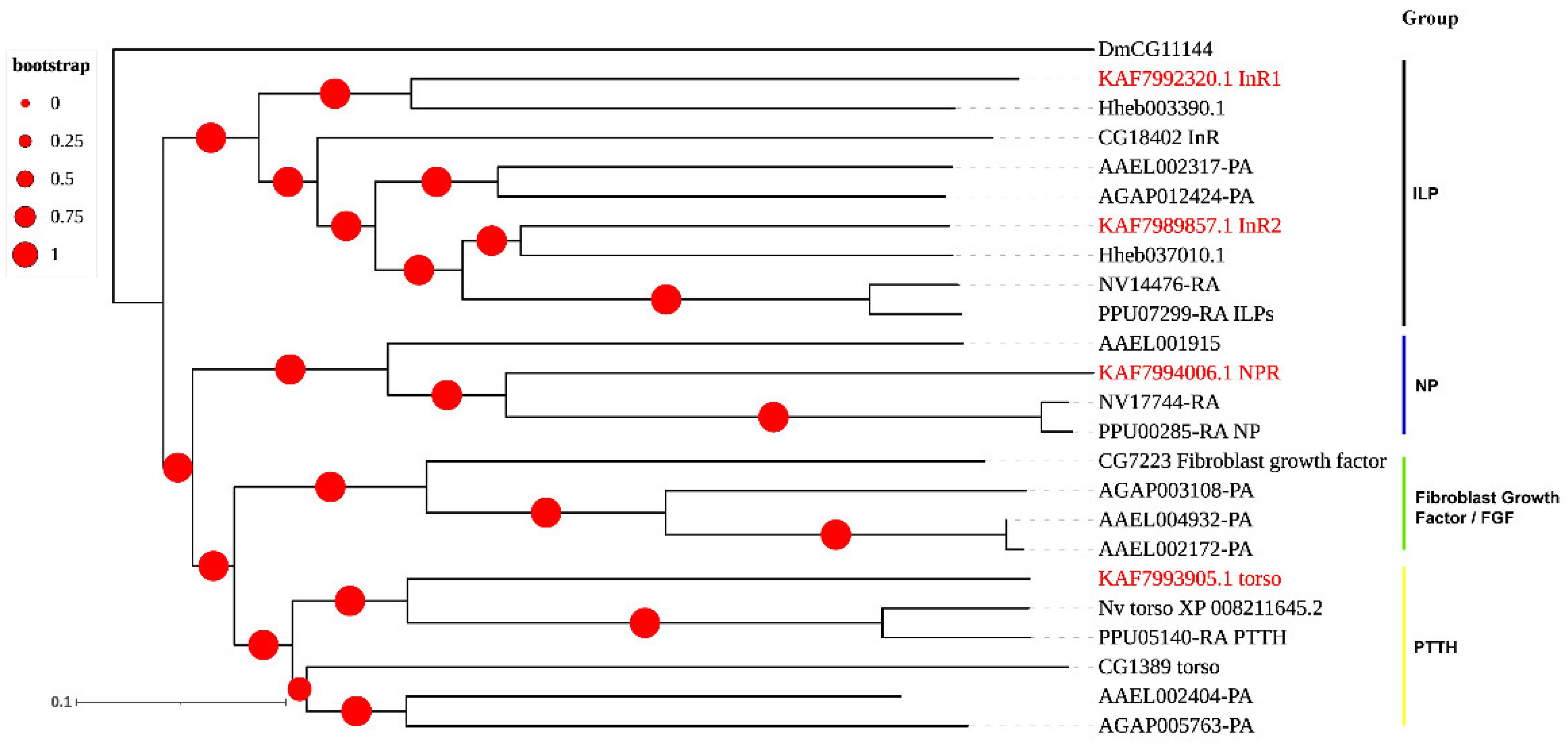 Insects 12 00745 g007 Insects 12 00745 g007