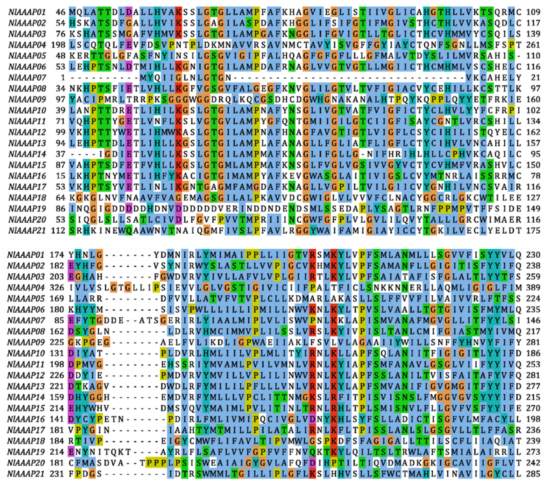 Insects 12 00746 g001