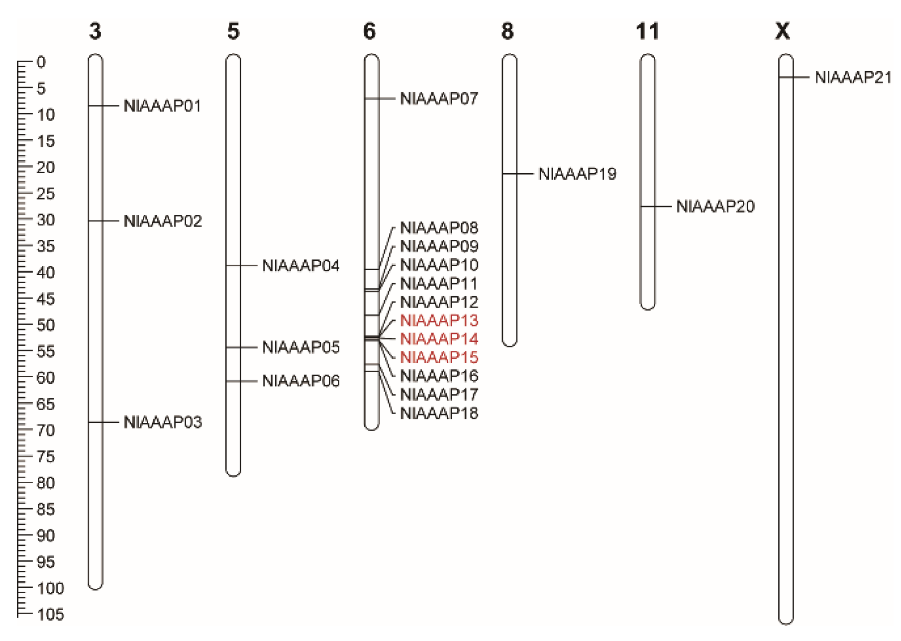 Insects 12 00746 g003