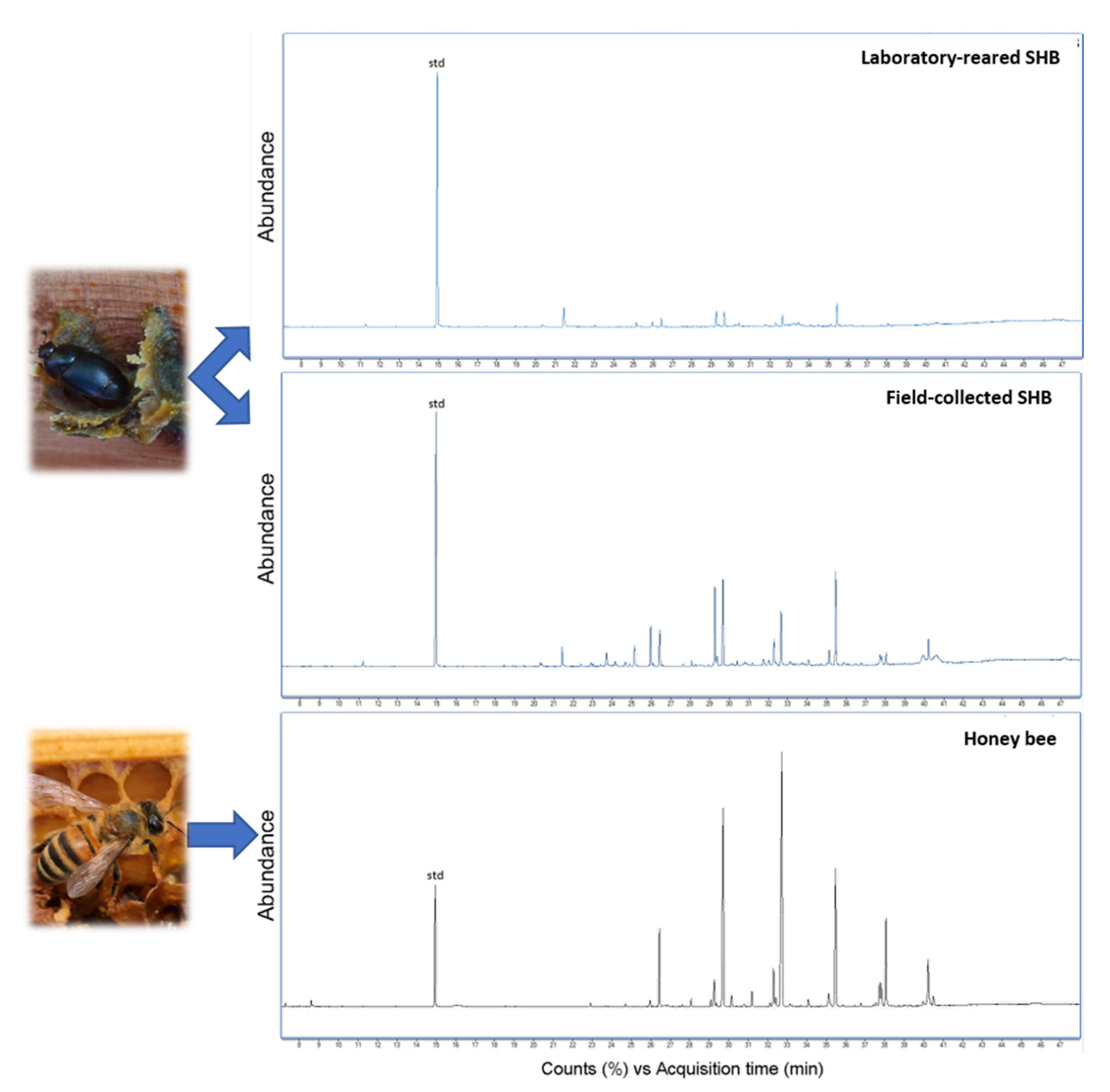 Insects 12 00751 g001 Insects 12 00751 g001