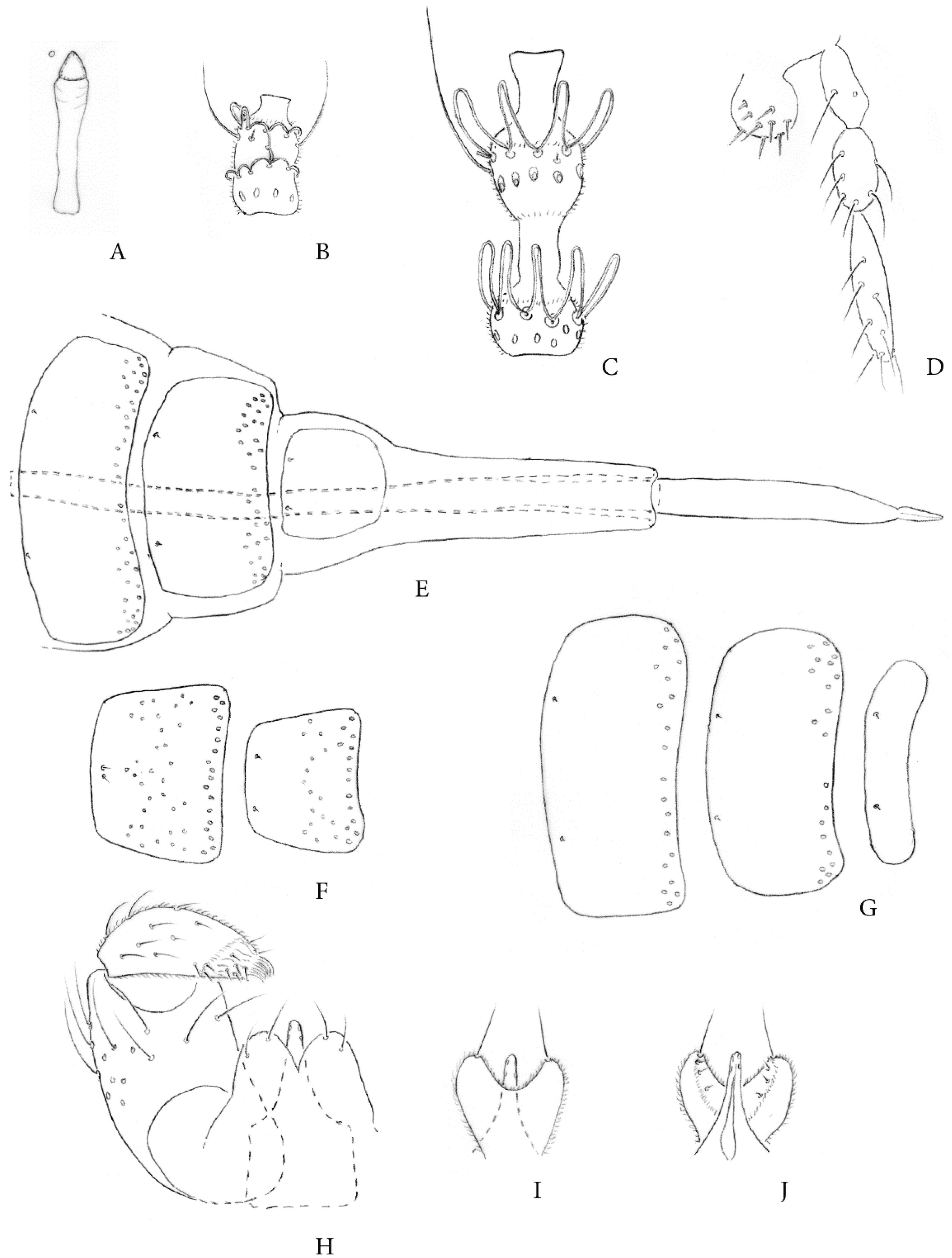 Insects 12 00755 g001 550