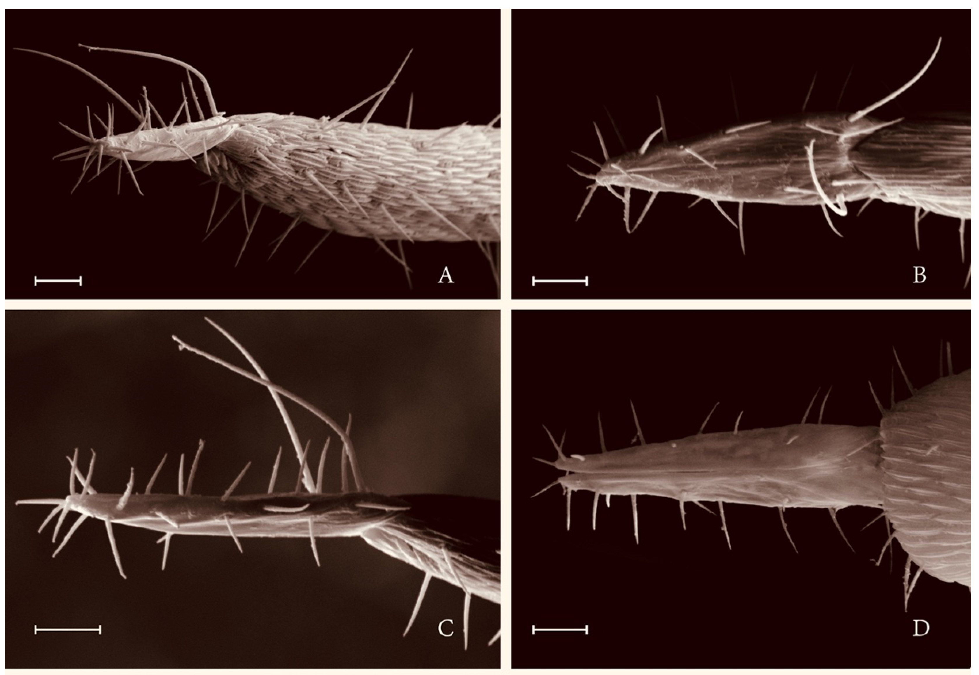 Insects 12 00755 g002 550