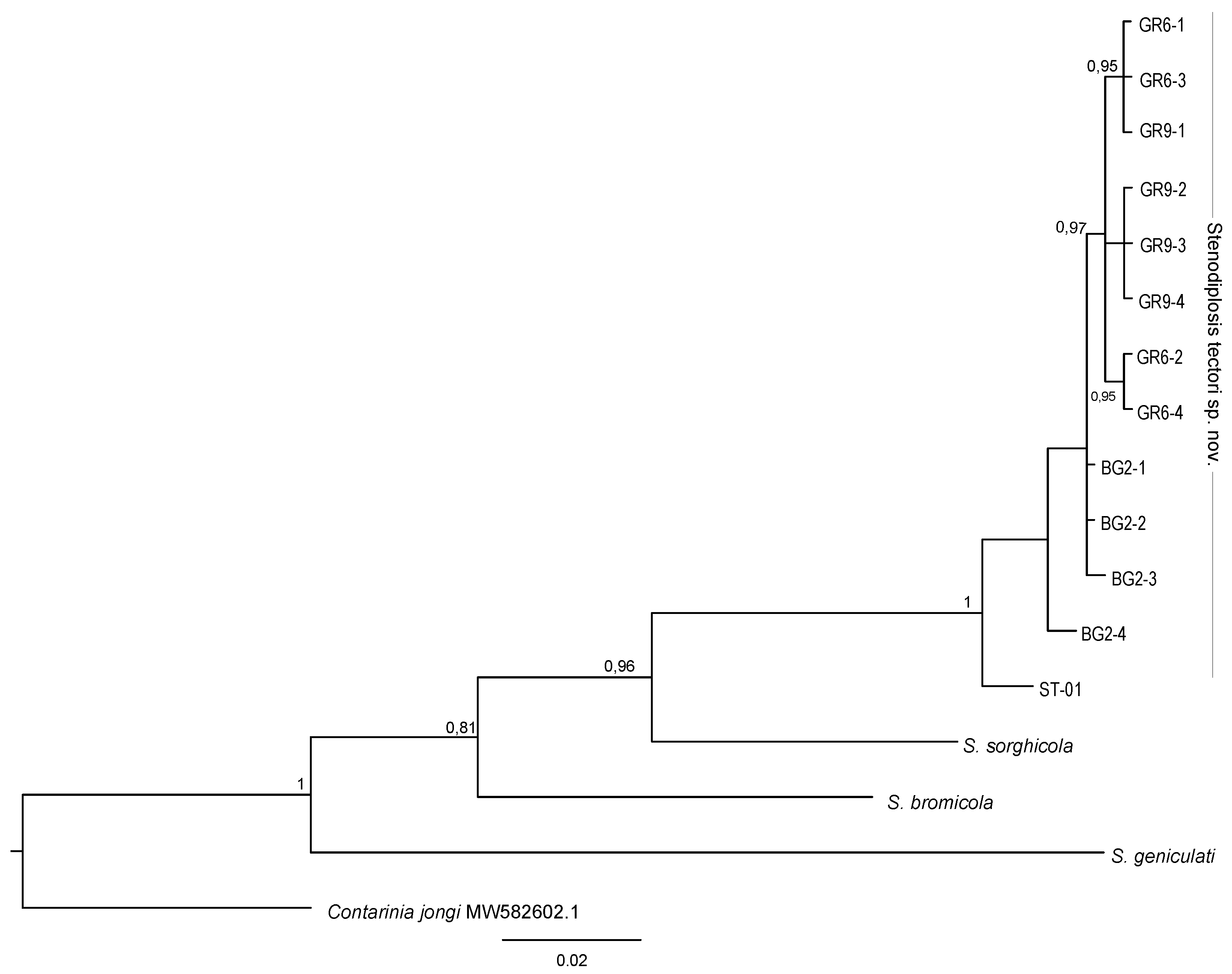 Insects 12 00755 g003 550