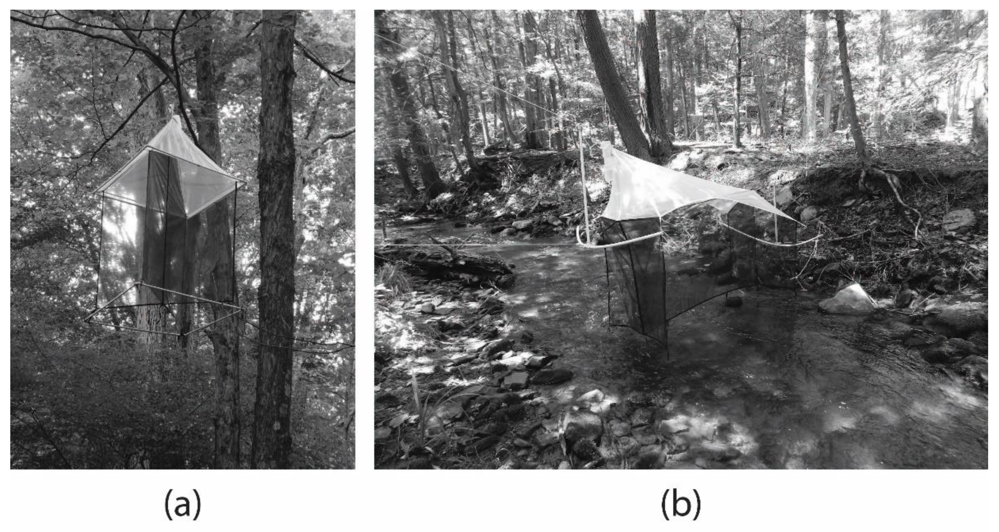 Insects 12 00770 g002 550