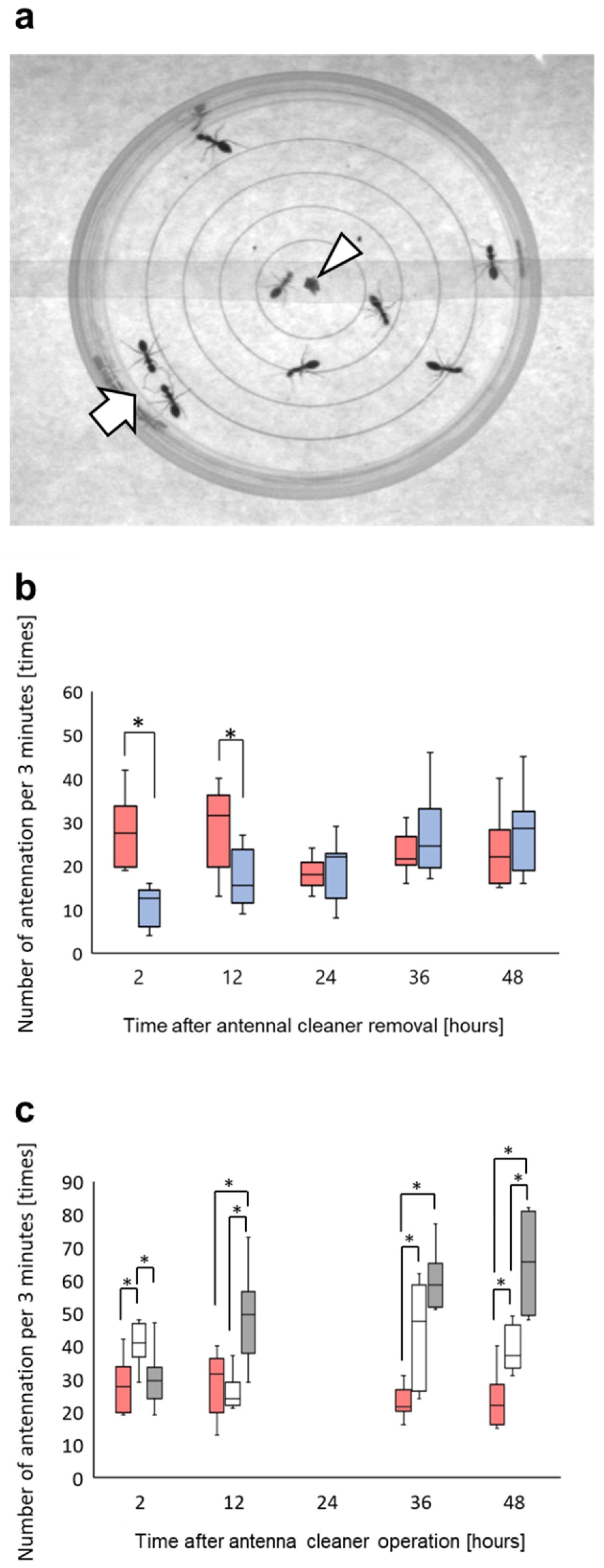 Insects 12 00773 g004