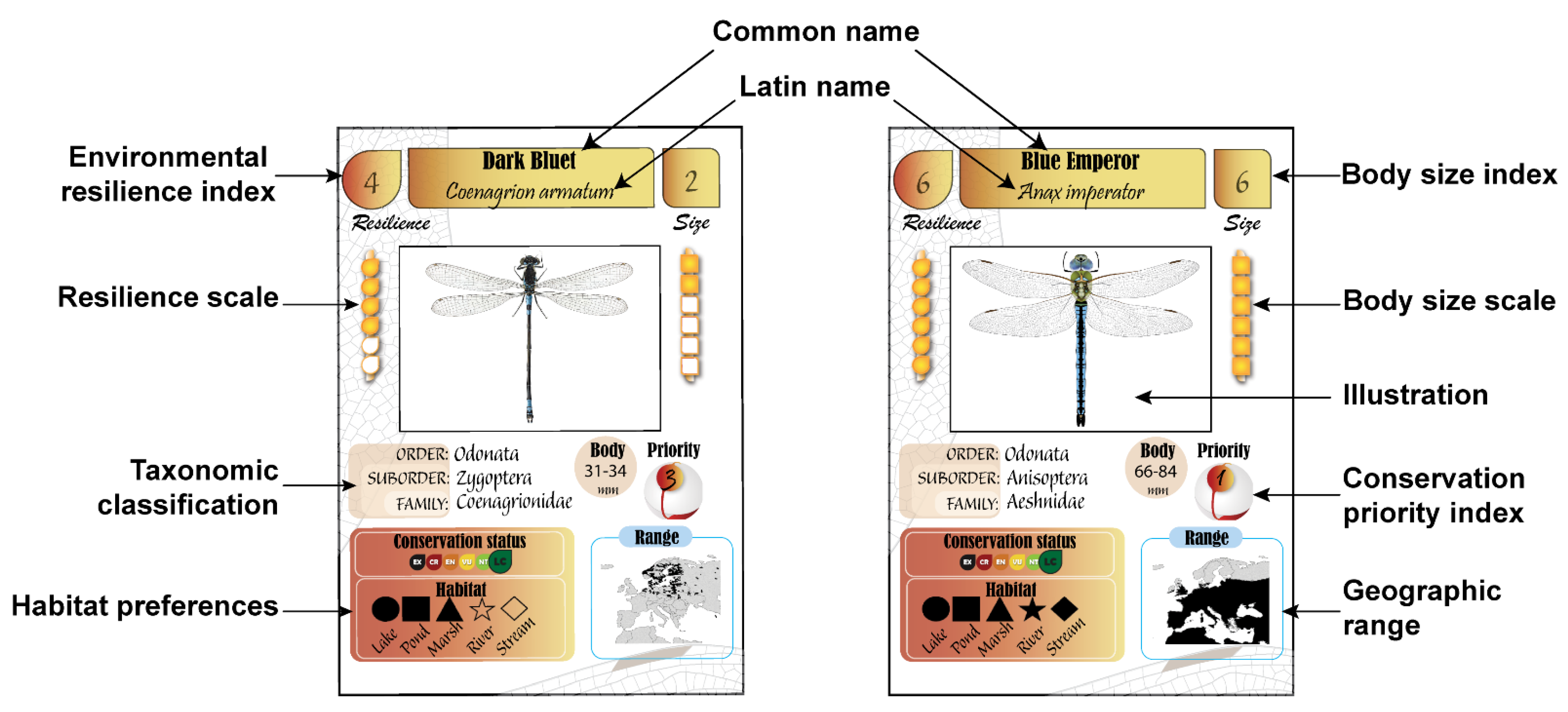 Insects 12 00776 g002