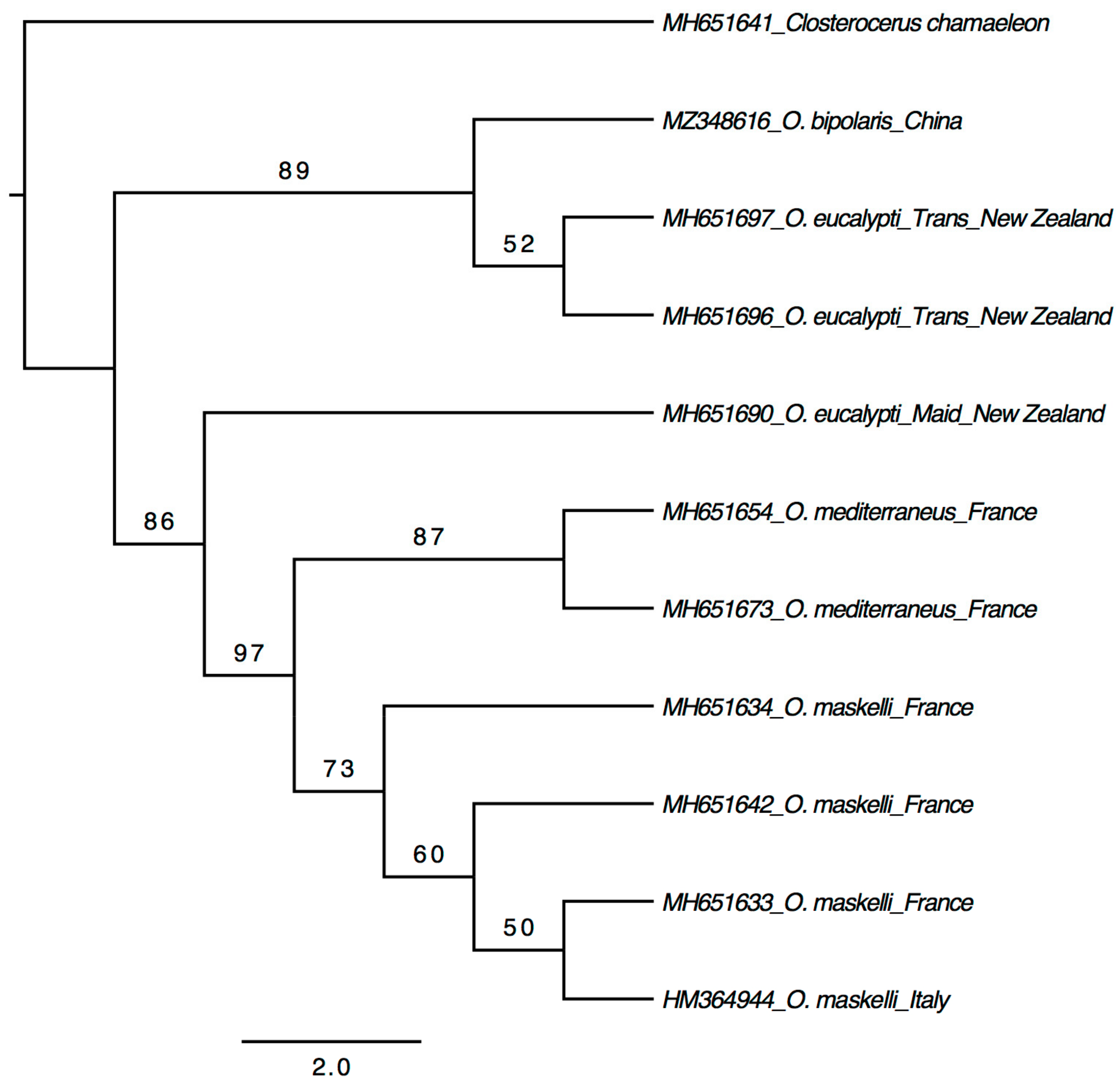 Insects 12 00778 g003 Insects 12 00778 g003