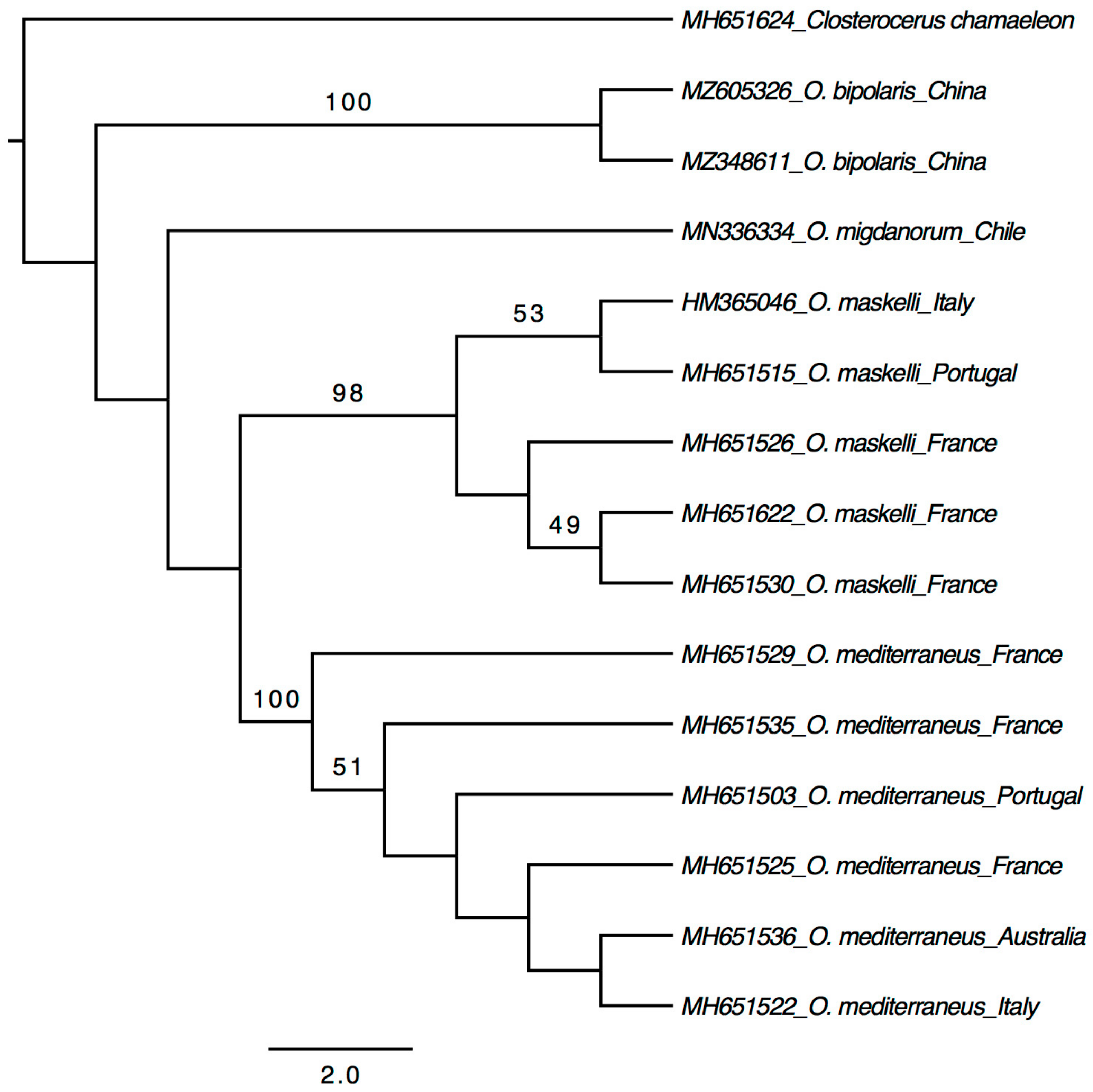 Insects 12 00778 g004 Insects 12 00778 g004