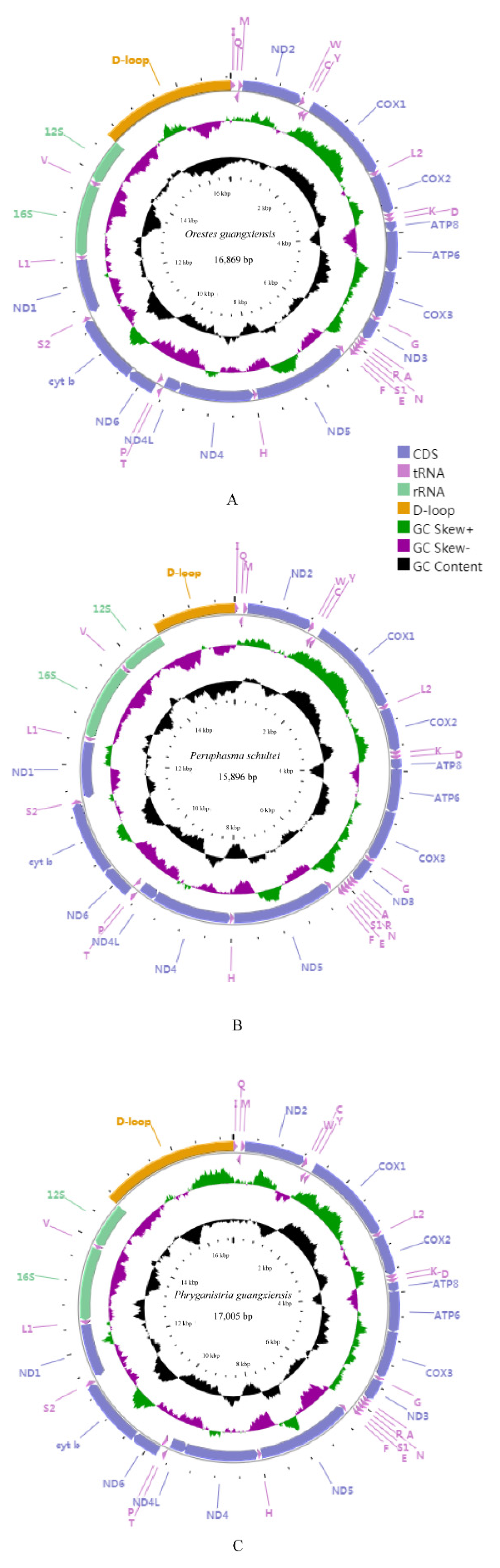 Insects 12 00779 g001 Insects 12 00779 g001