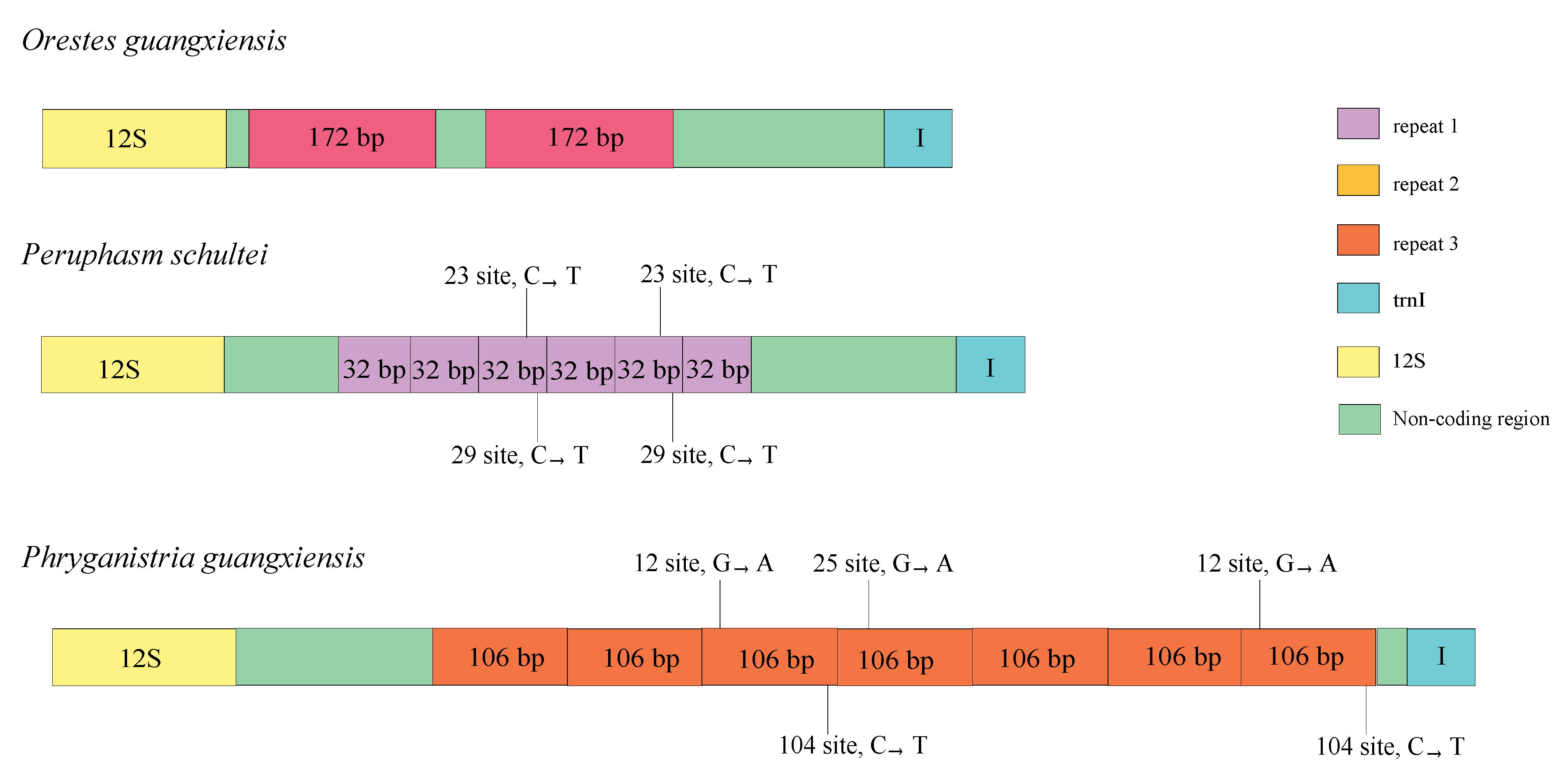 Insects 12 00779 g003 Insects 12 00779 g003