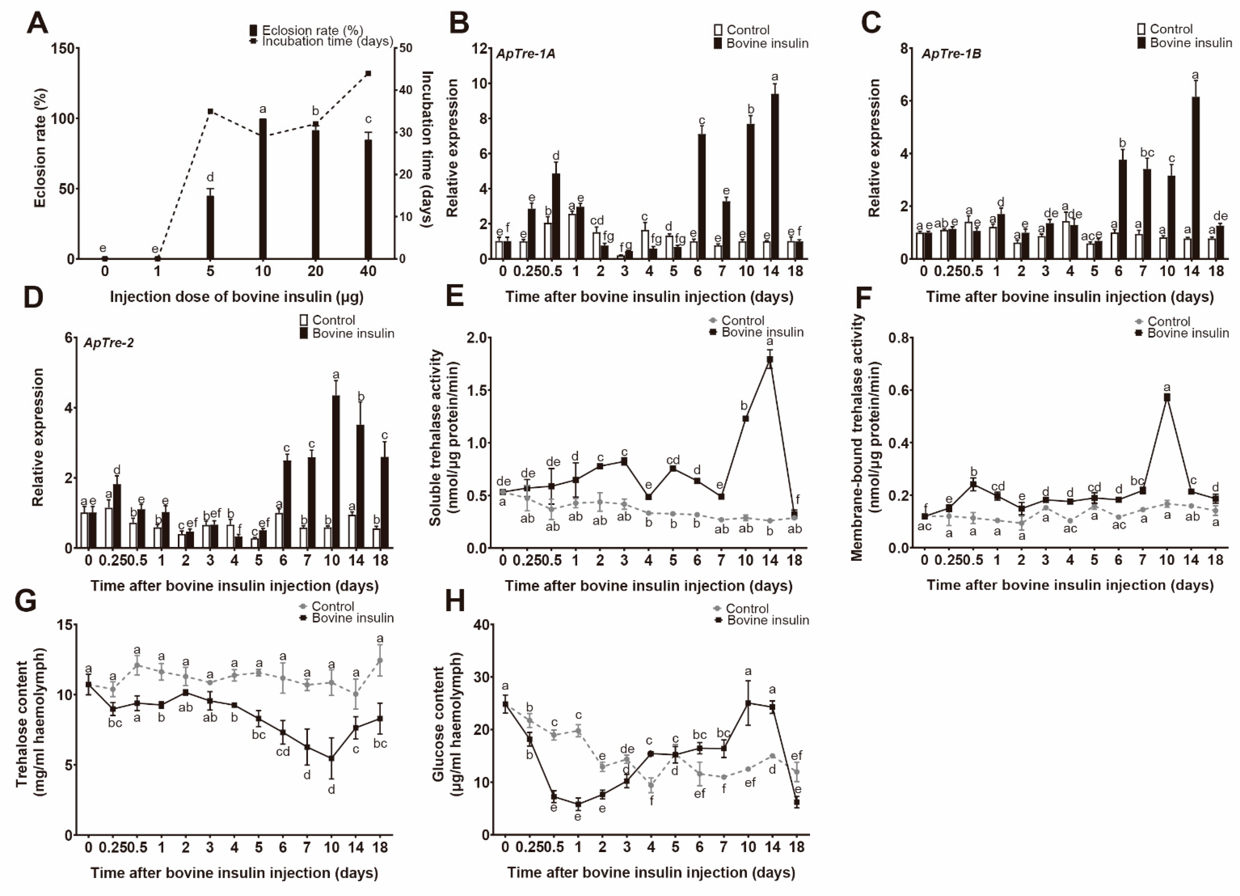 Insects 12 00784 g002 550