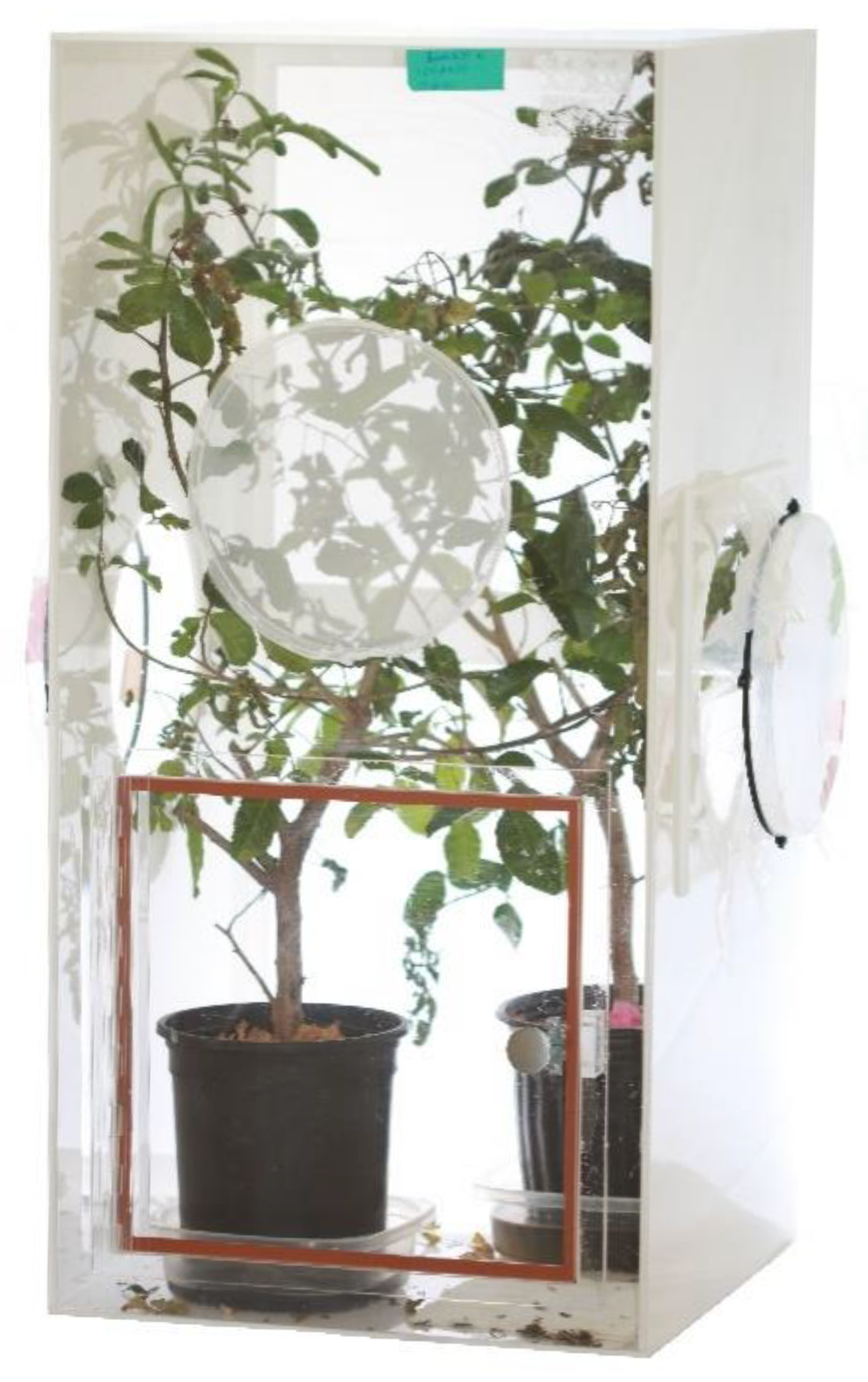 Insects 12 00790 g003 550