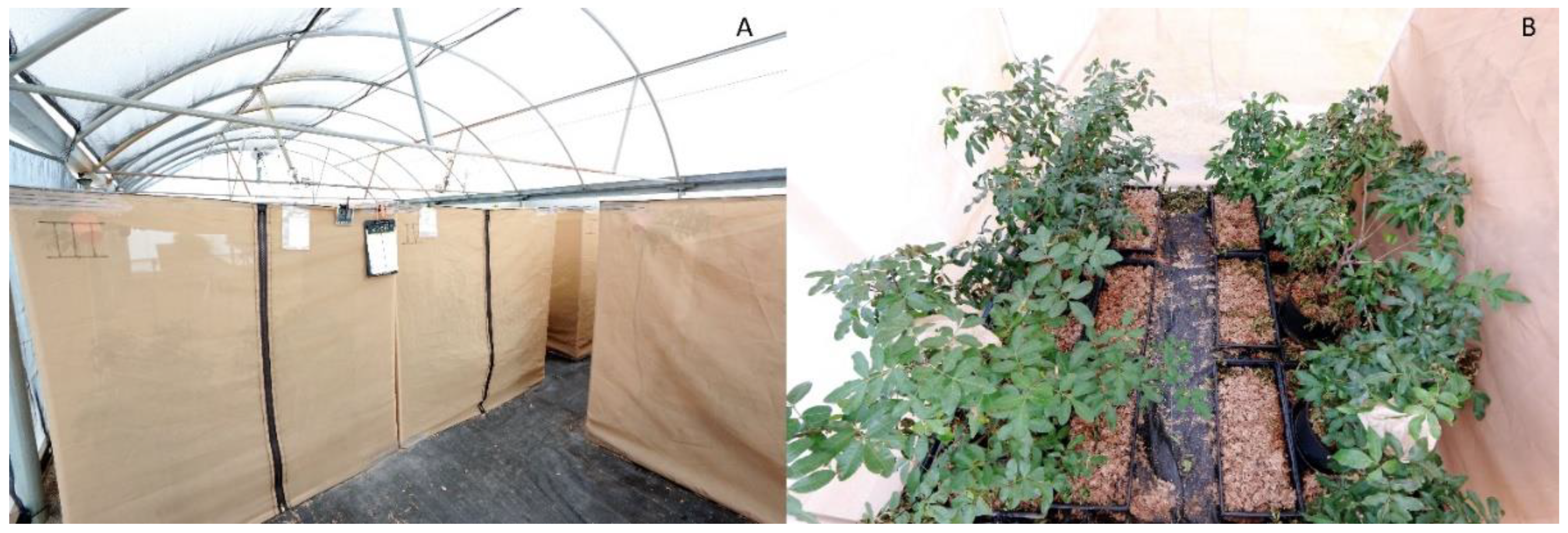 Insects 12 00790 g004 550