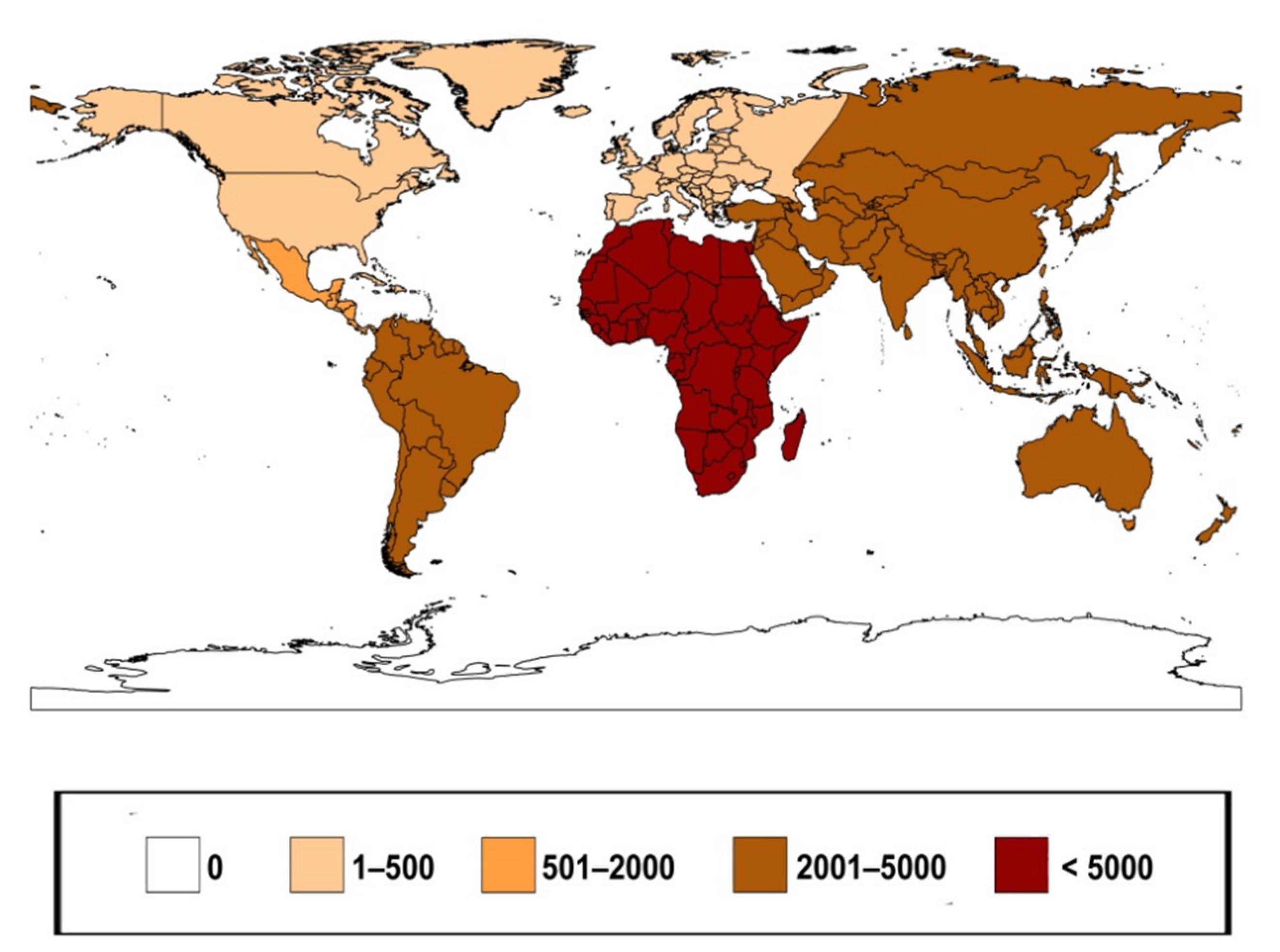 Insects Free Full Text A Historical Collection Of Termites In Ferrara Recovery Cataloguing And Geographical Analyses Html