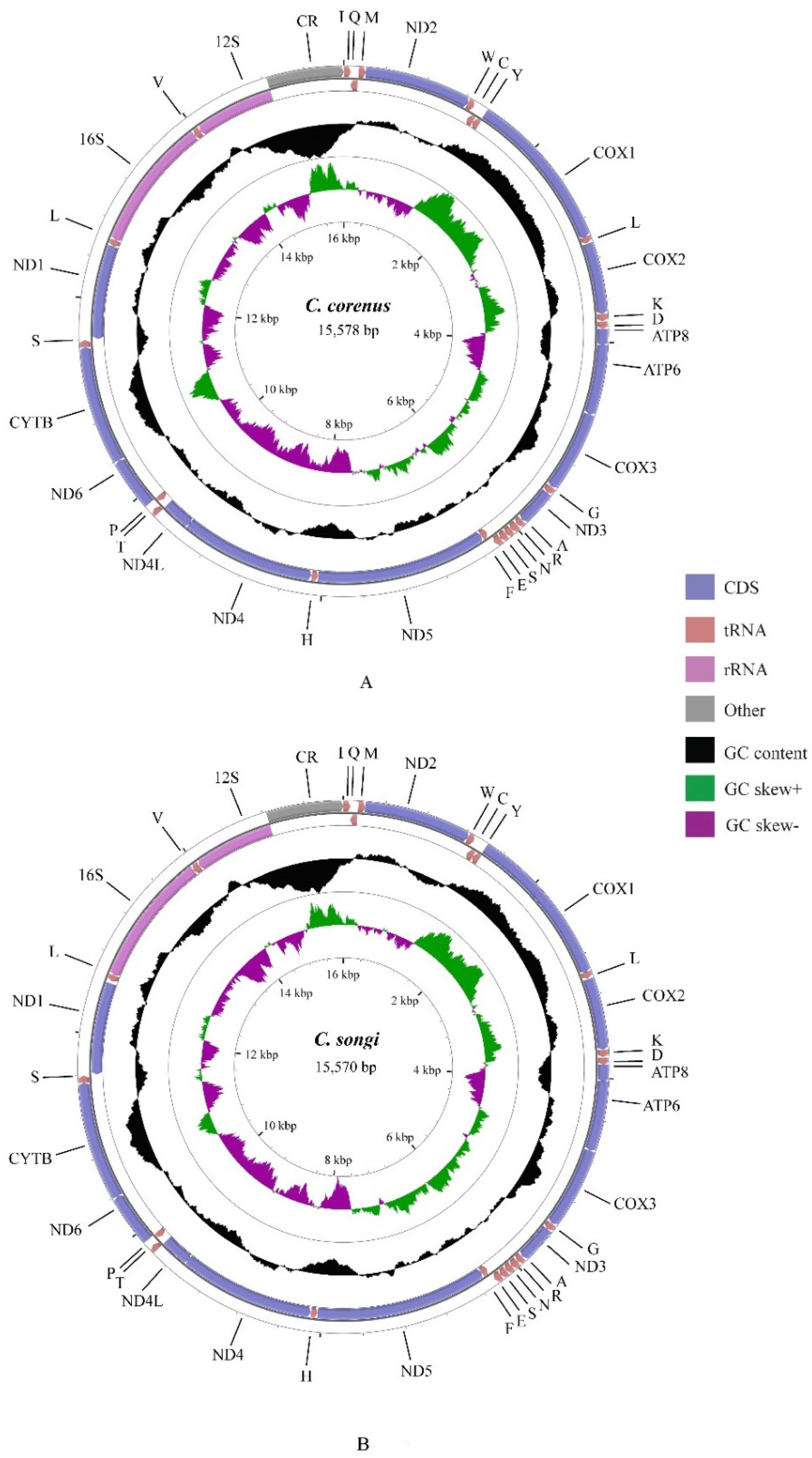 Insects 12 00795 g001 Insects 12 00795 g001