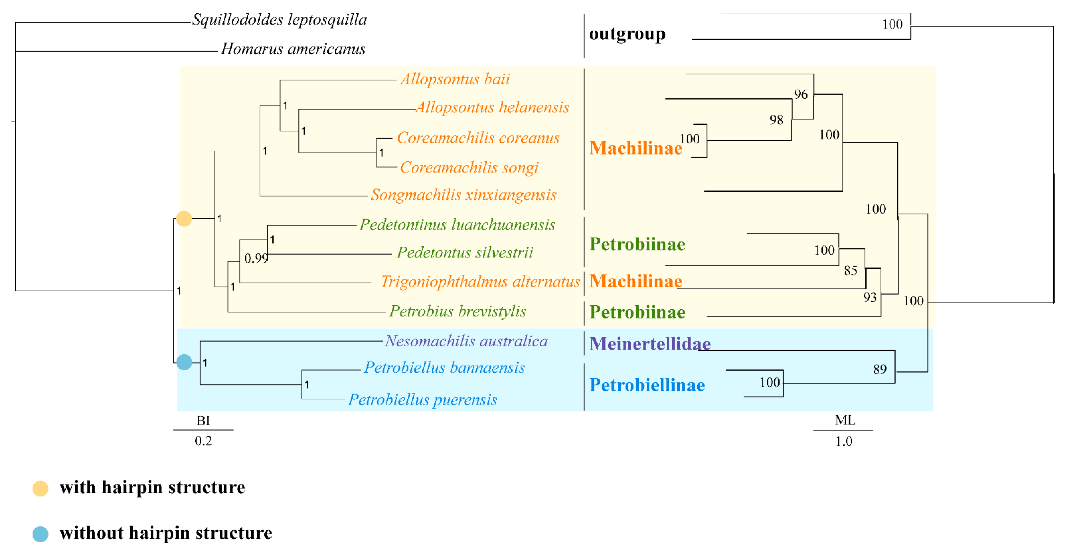 Insects 12 00795 g004 Insects 12 00795 g004