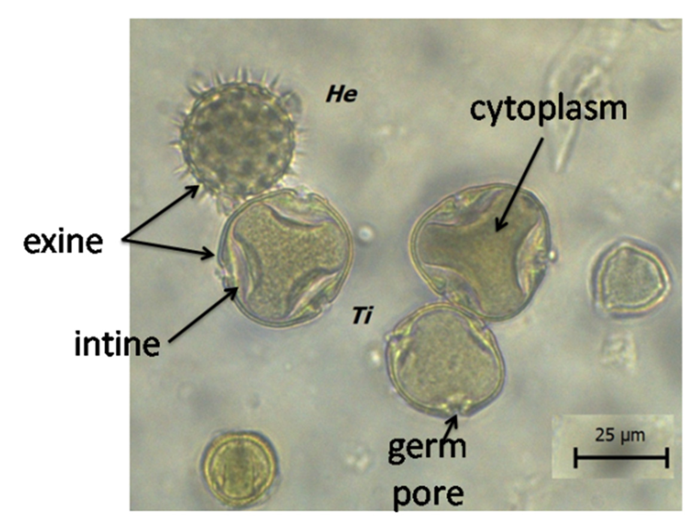 Insects 12 00798 g001 Insects 12 00798 g001