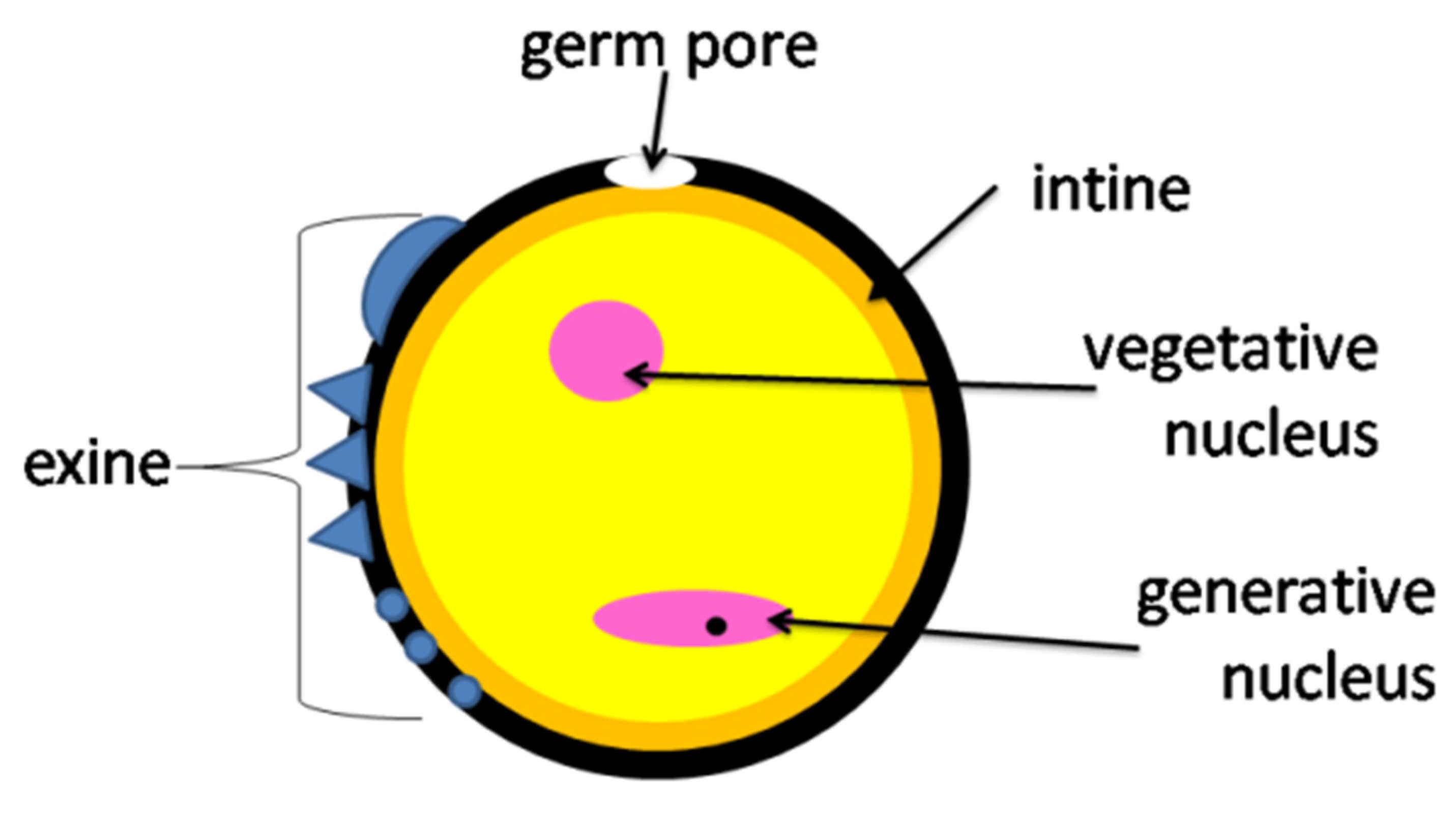 Insects 12 00798 g002 Insects 12 00798 g002