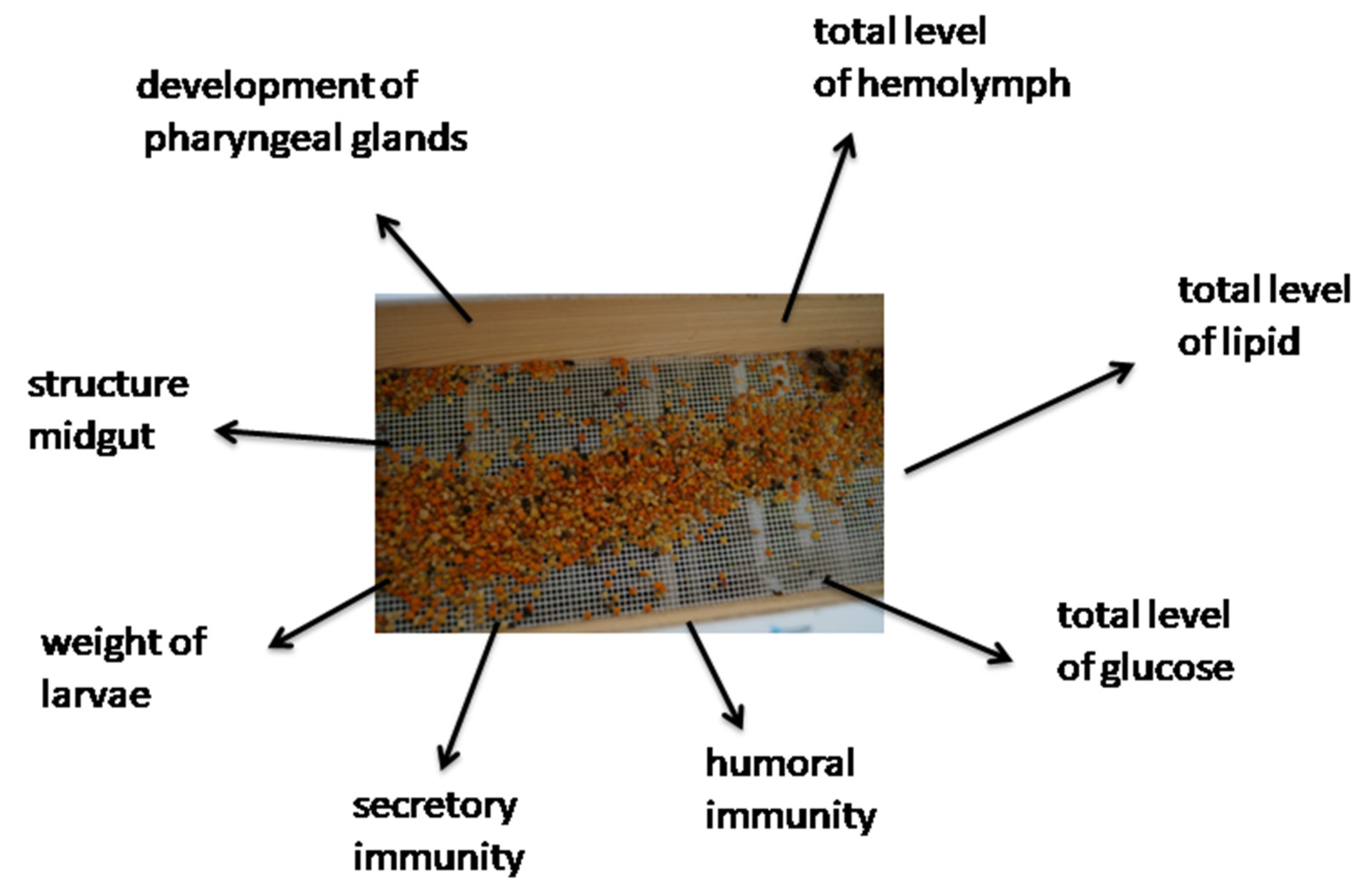 Insects 12 00798 g003 Insects 12 00798 g003