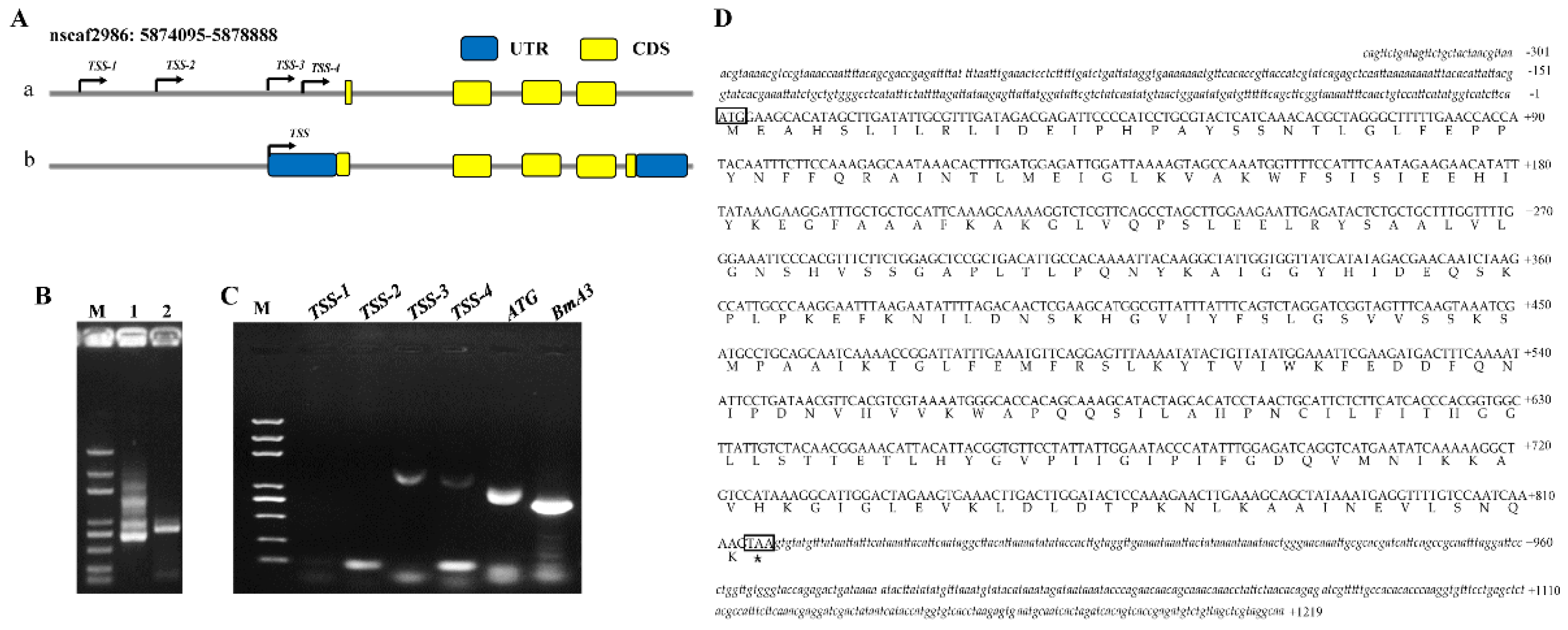 Insects 12 00799 g003 550